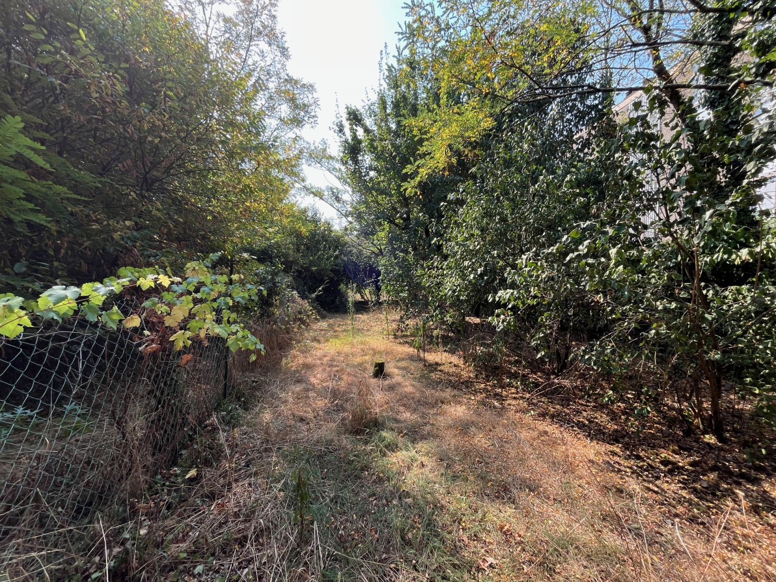 Image_, Appartement, Pessac, ref :RCVAP180017738