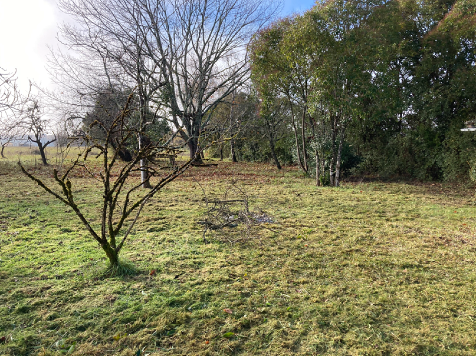 Image_, Terrain à batir, Birac, ref :B307