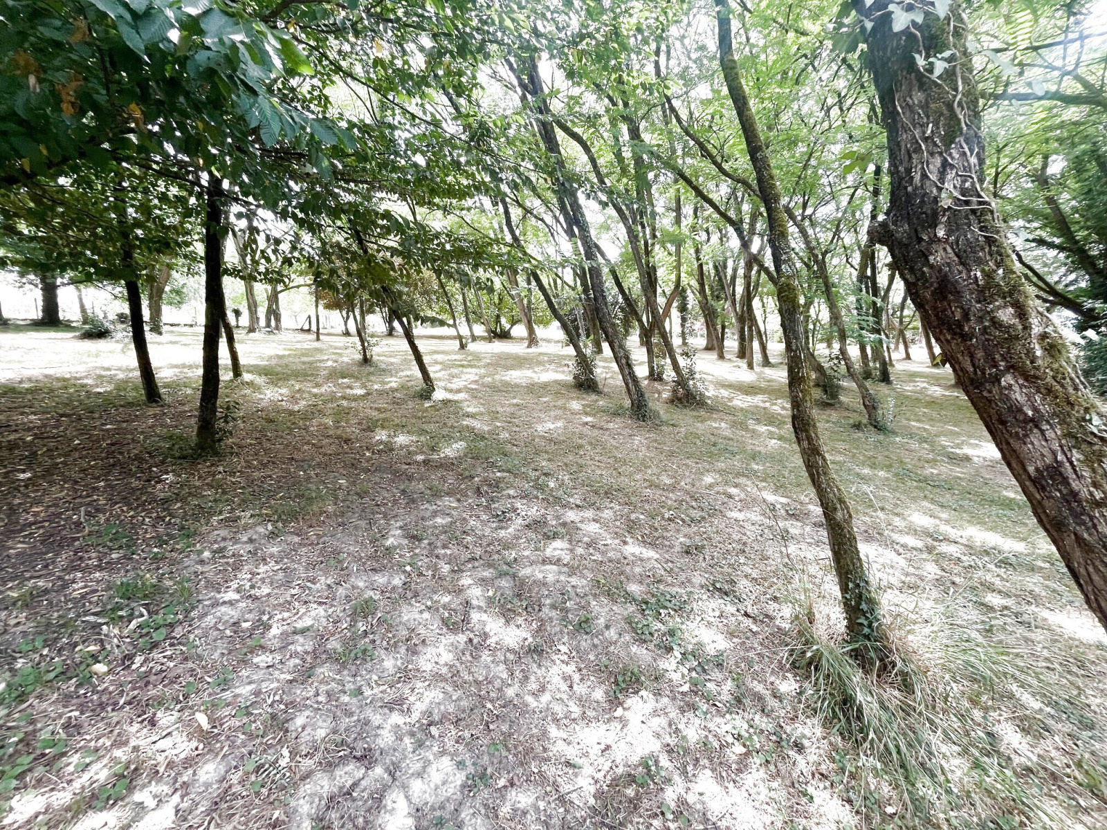 Image_, Maison de village, Lignan-de-Bordeaux, ref :C708
