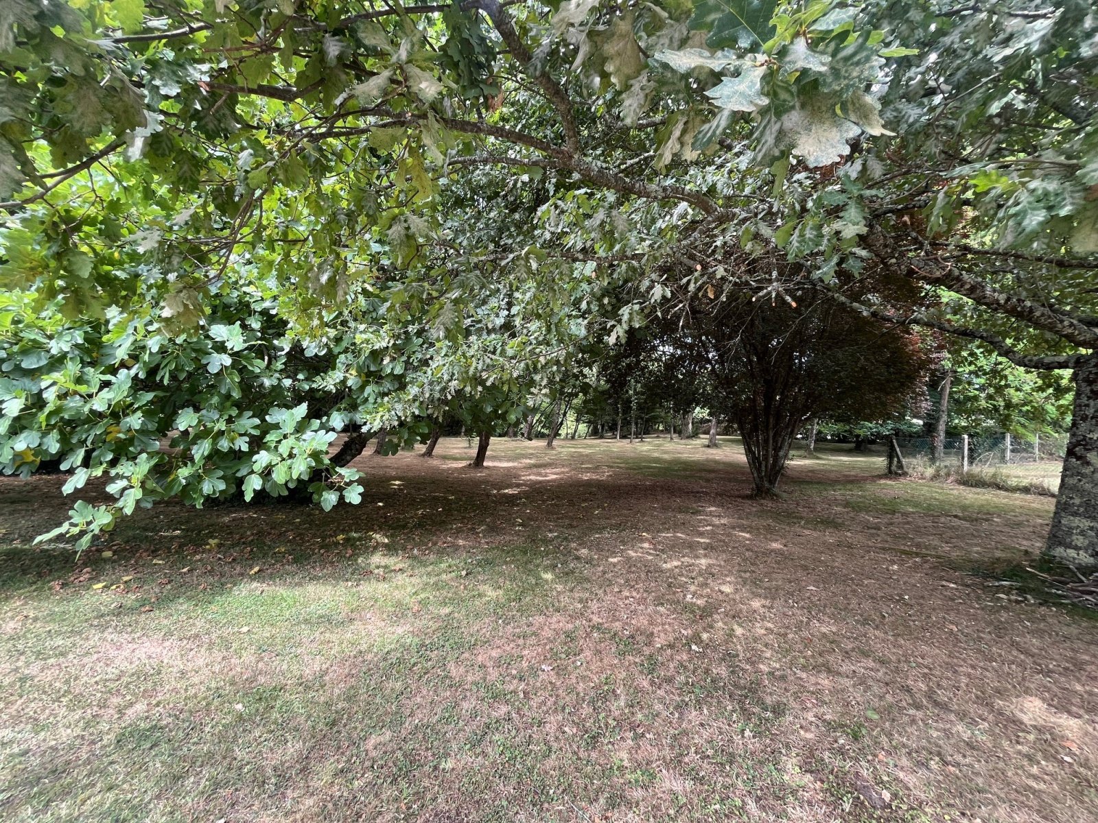 Image_, Maison de village, Lignan-de-Bordeaux, ref :C708