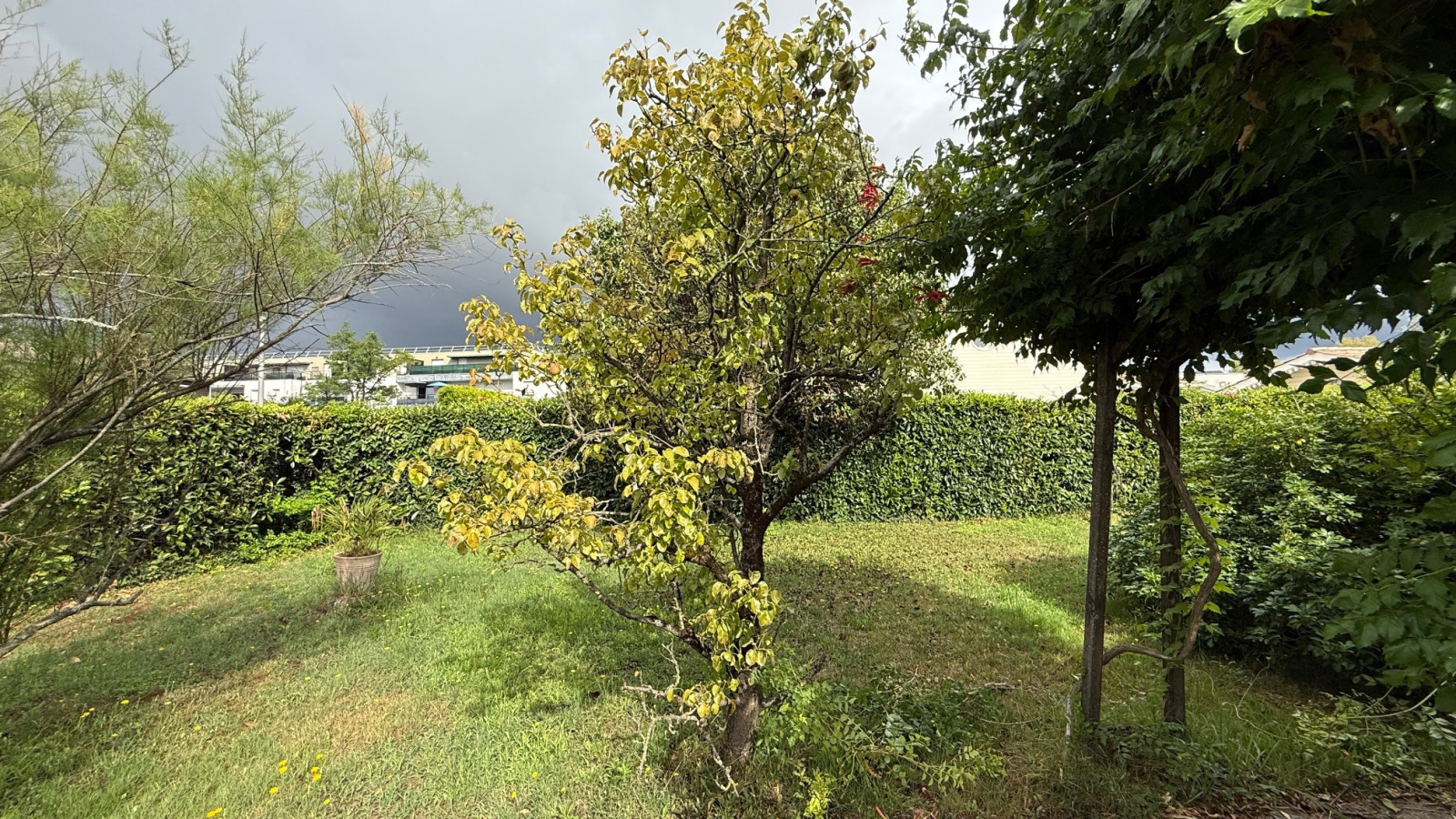 Image_, Maison, Mérignac, ref :E695