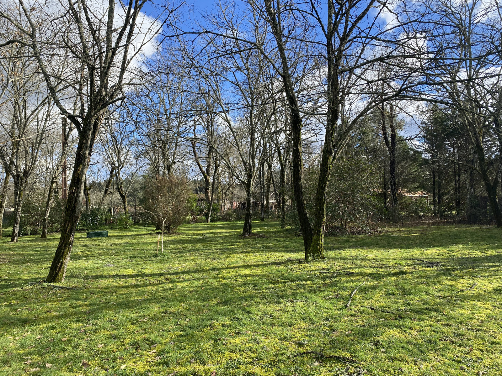 Image_, Maison, Saint-Symphorien, ref :B421