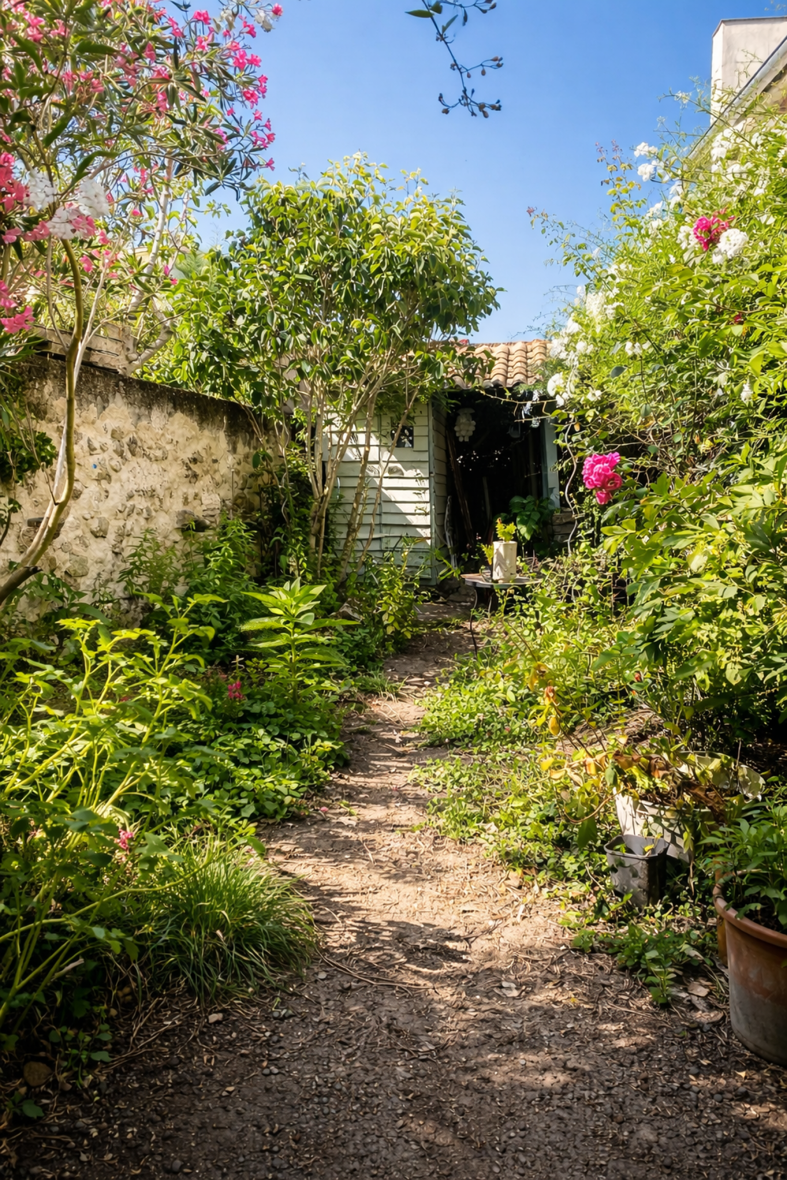 Image_, Maison, Langon, ref :B258