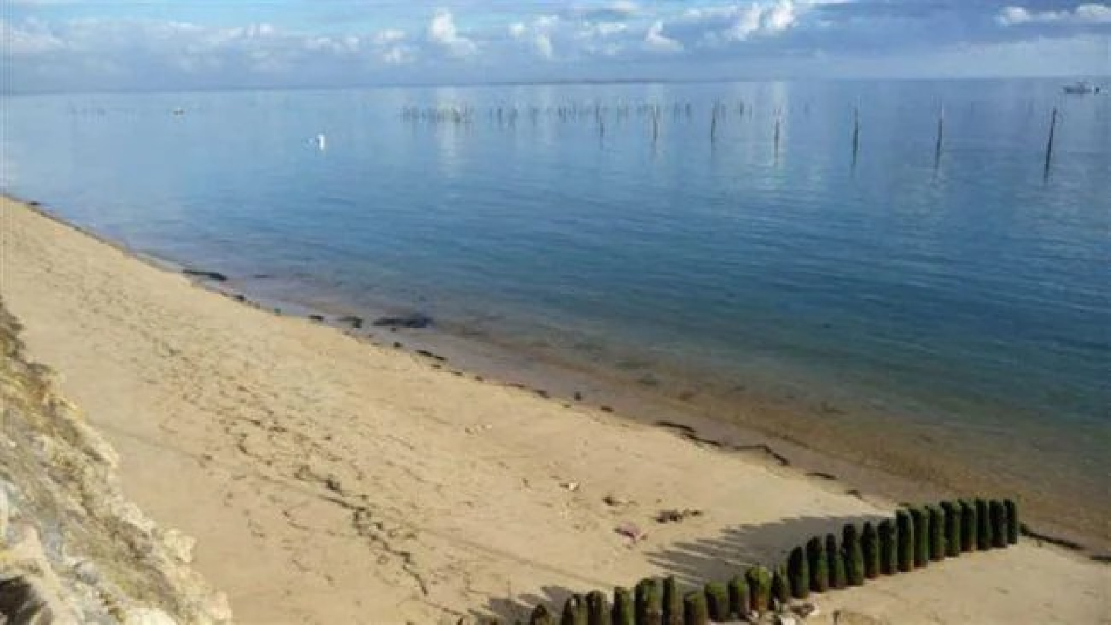 Image_, Terrain à batir, Lège-Cap-Ferret, ref :743