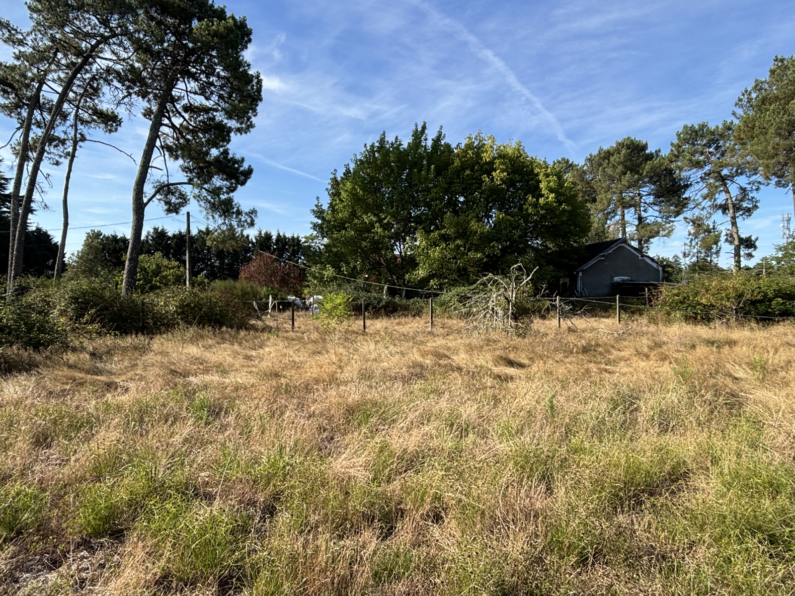 Image_, Terrain à batir, Ychoux, ref :PBVTE440017751