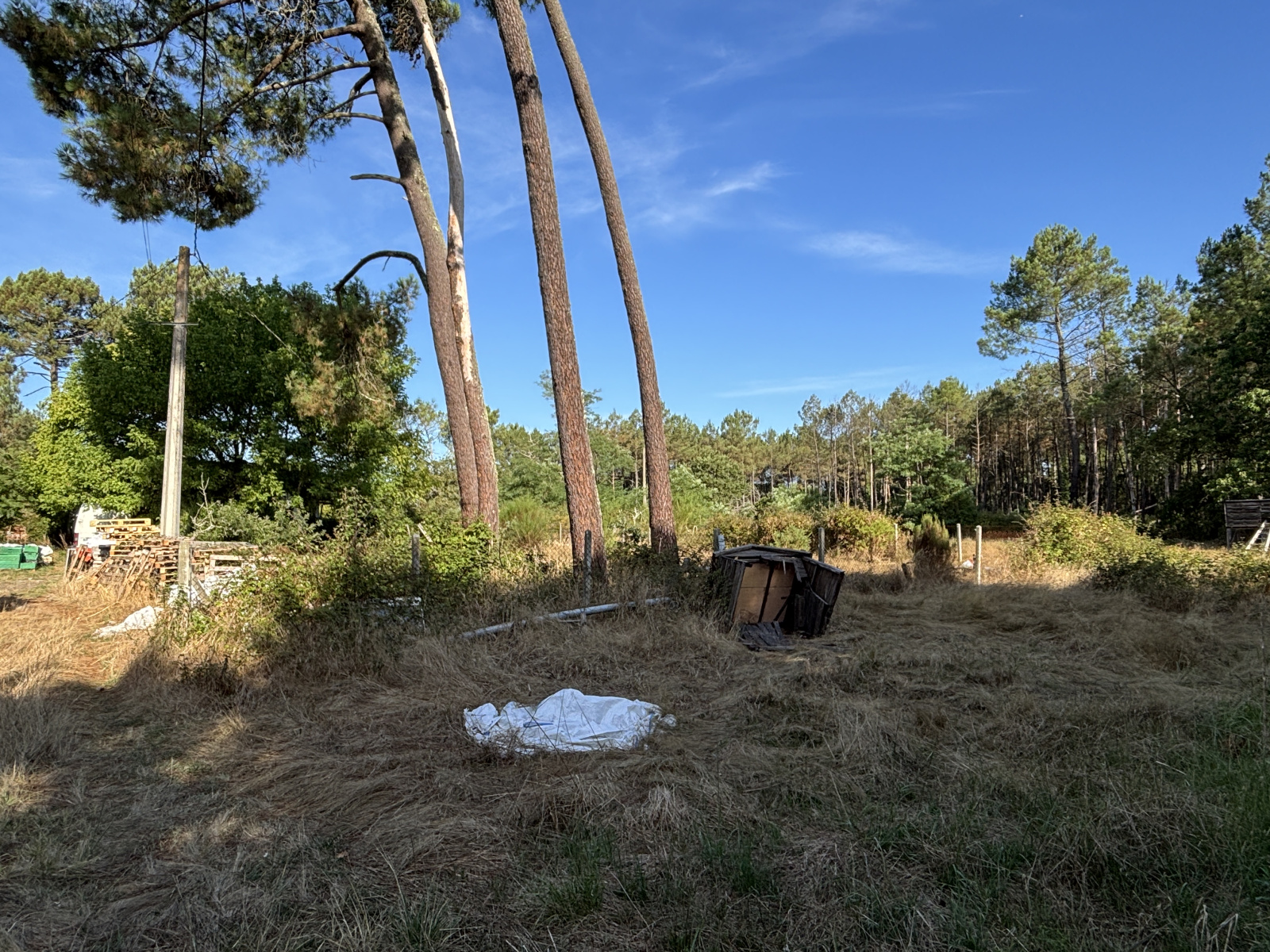 Image_, Terrain à batir, Ychoux, ref :PBVTE440017751