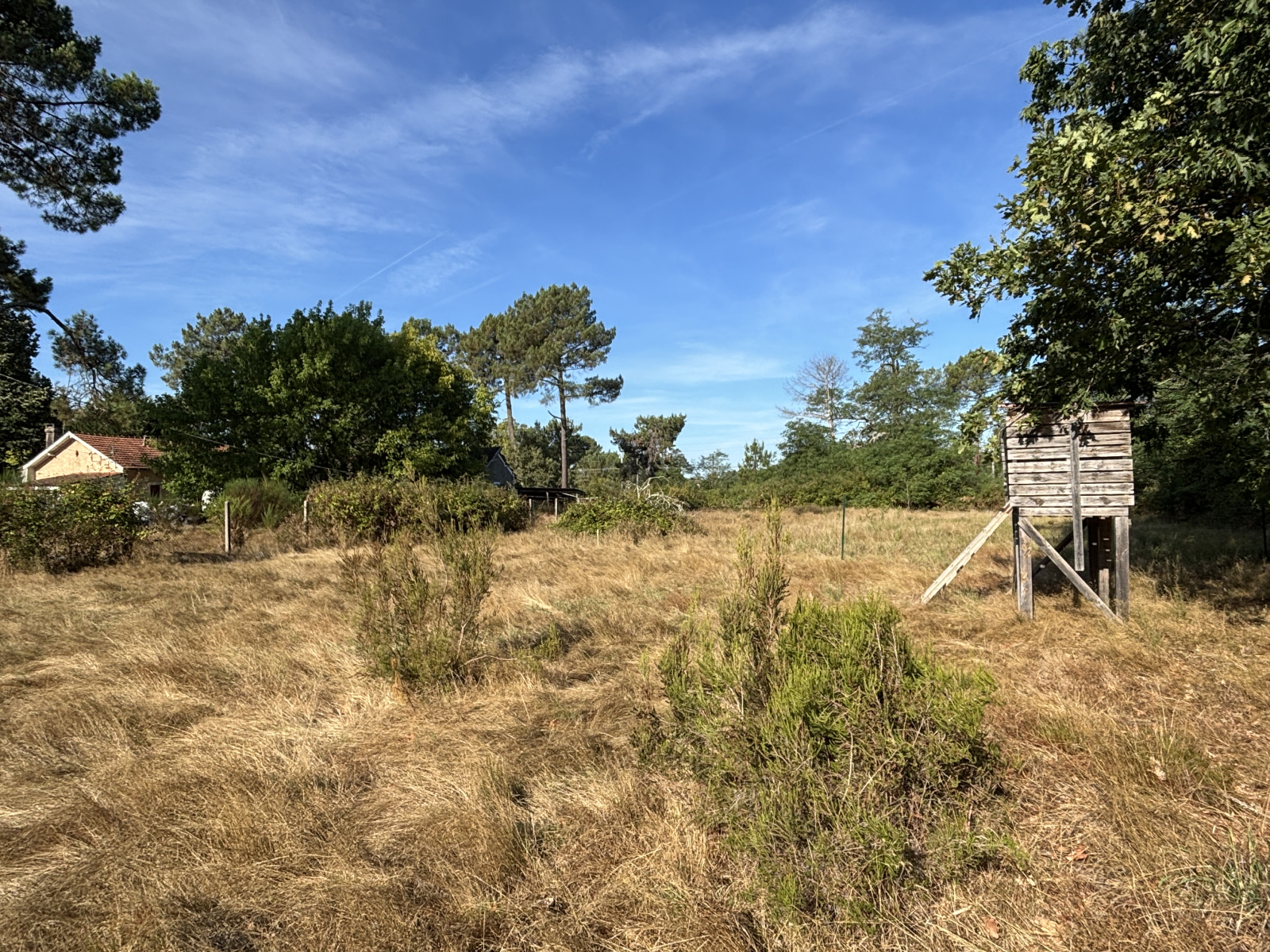 Image_, Terrain à batir, Ychoux, ref :PBVTE440017751