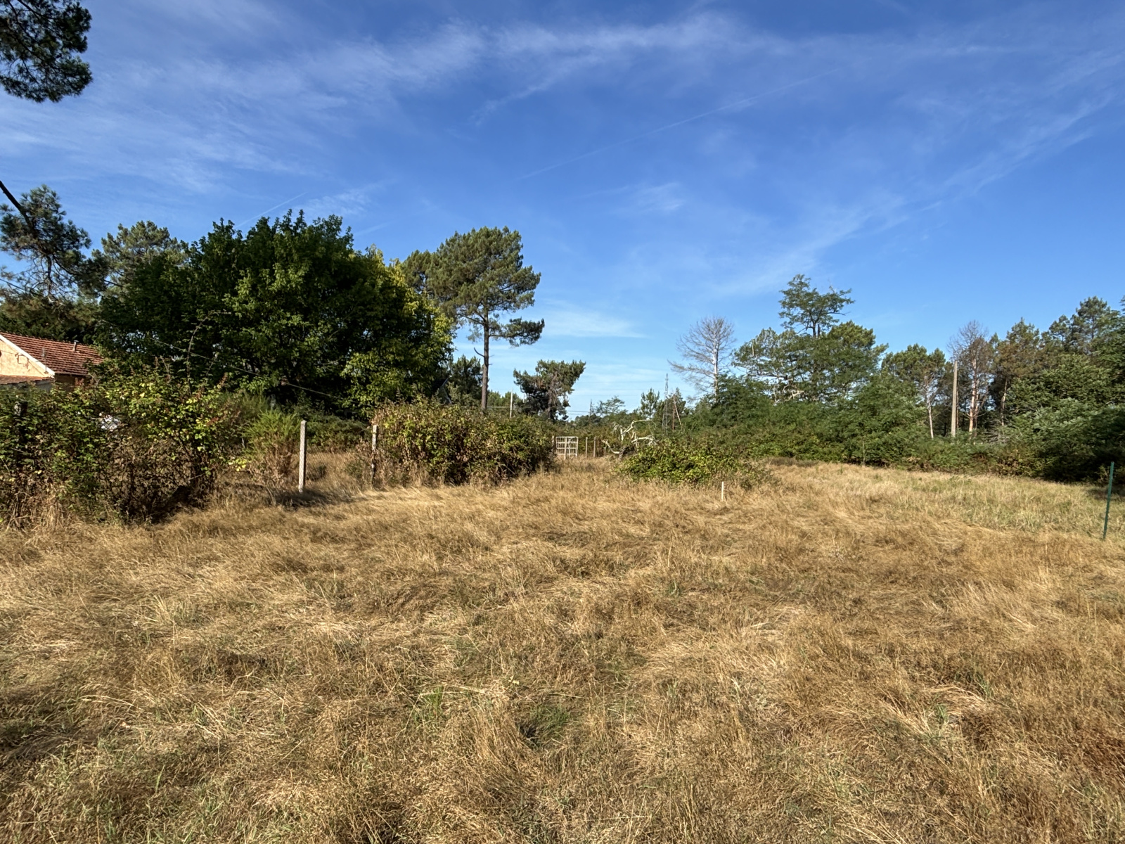 Image_, Terrain à batir, Ychoux, ref :PBVTE440017751