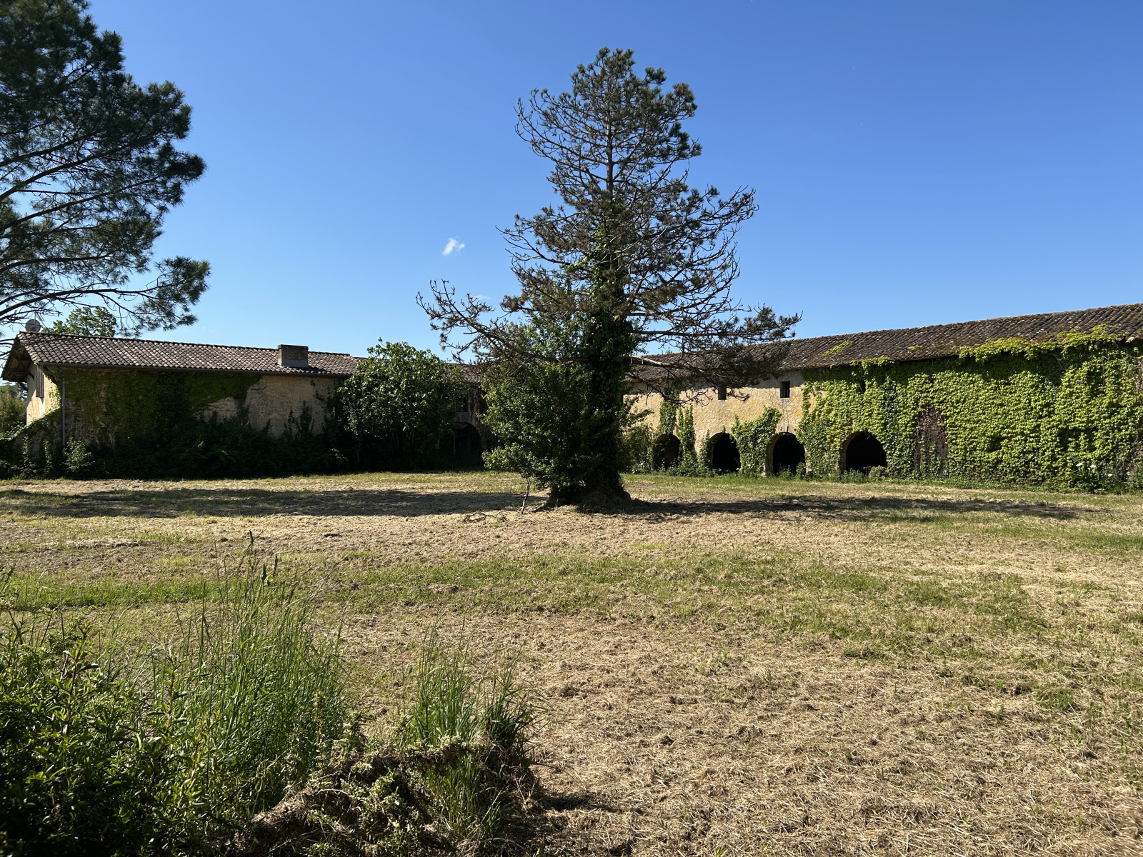 Image_, Bastide, La Réole, ref :NSVAP100017779