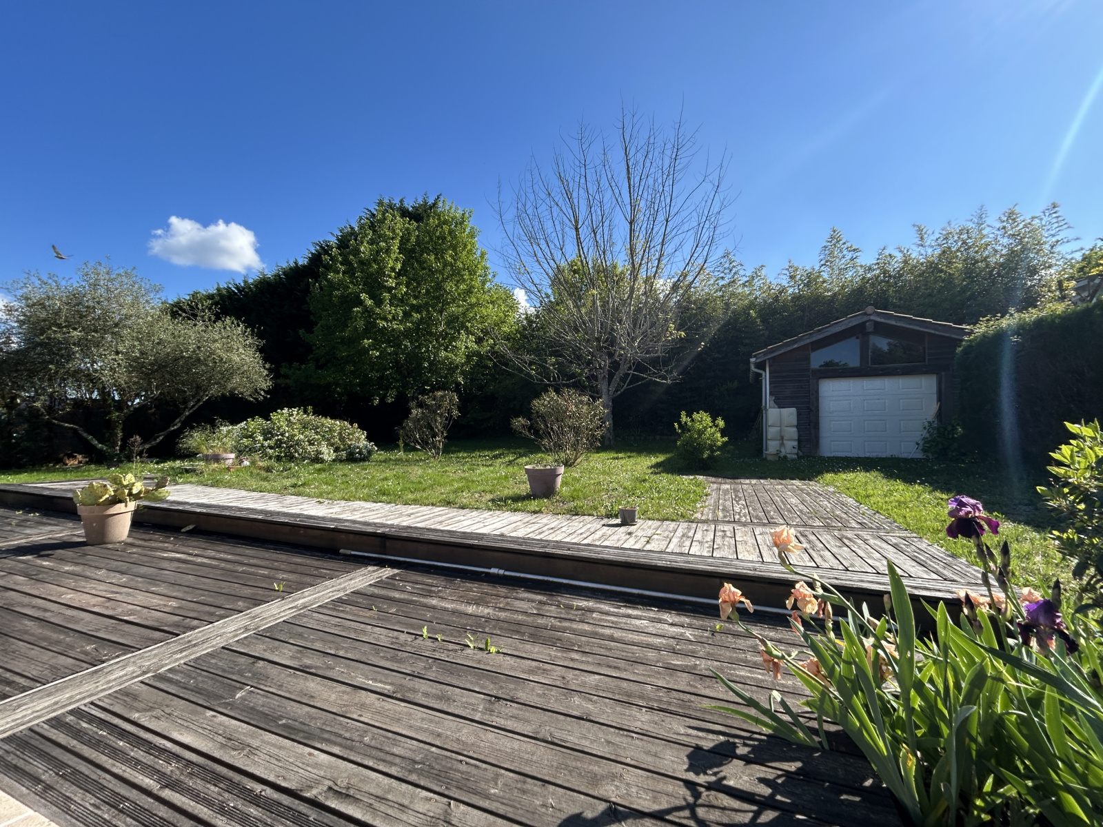 Image_, Maison, Bazas, ref :B348