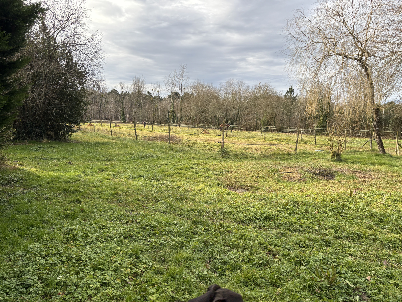 Image_, Propriete, Bazas, ref :PBVPR440017698