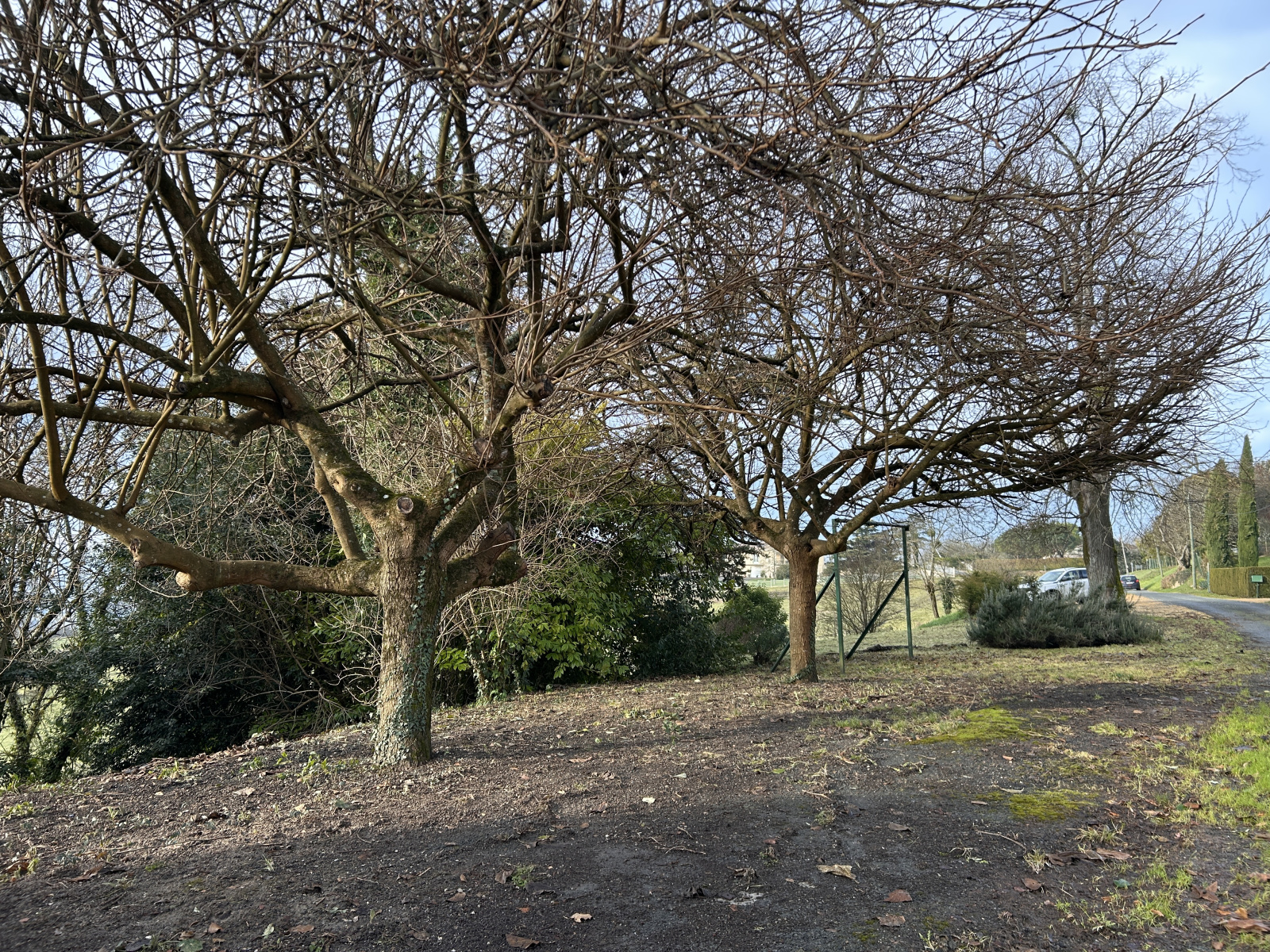 Image_, Maison, La Réole, ref :B406