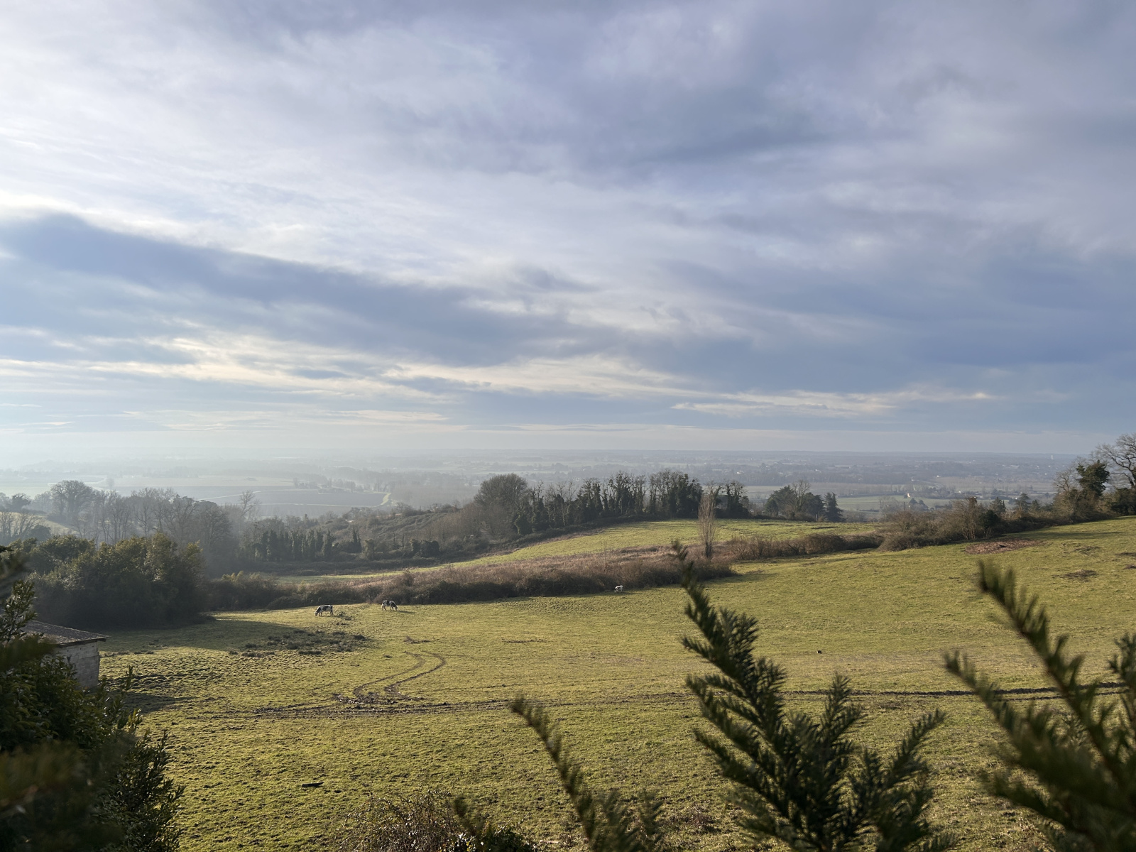 Image_, Maison, La Réole, ref :B406