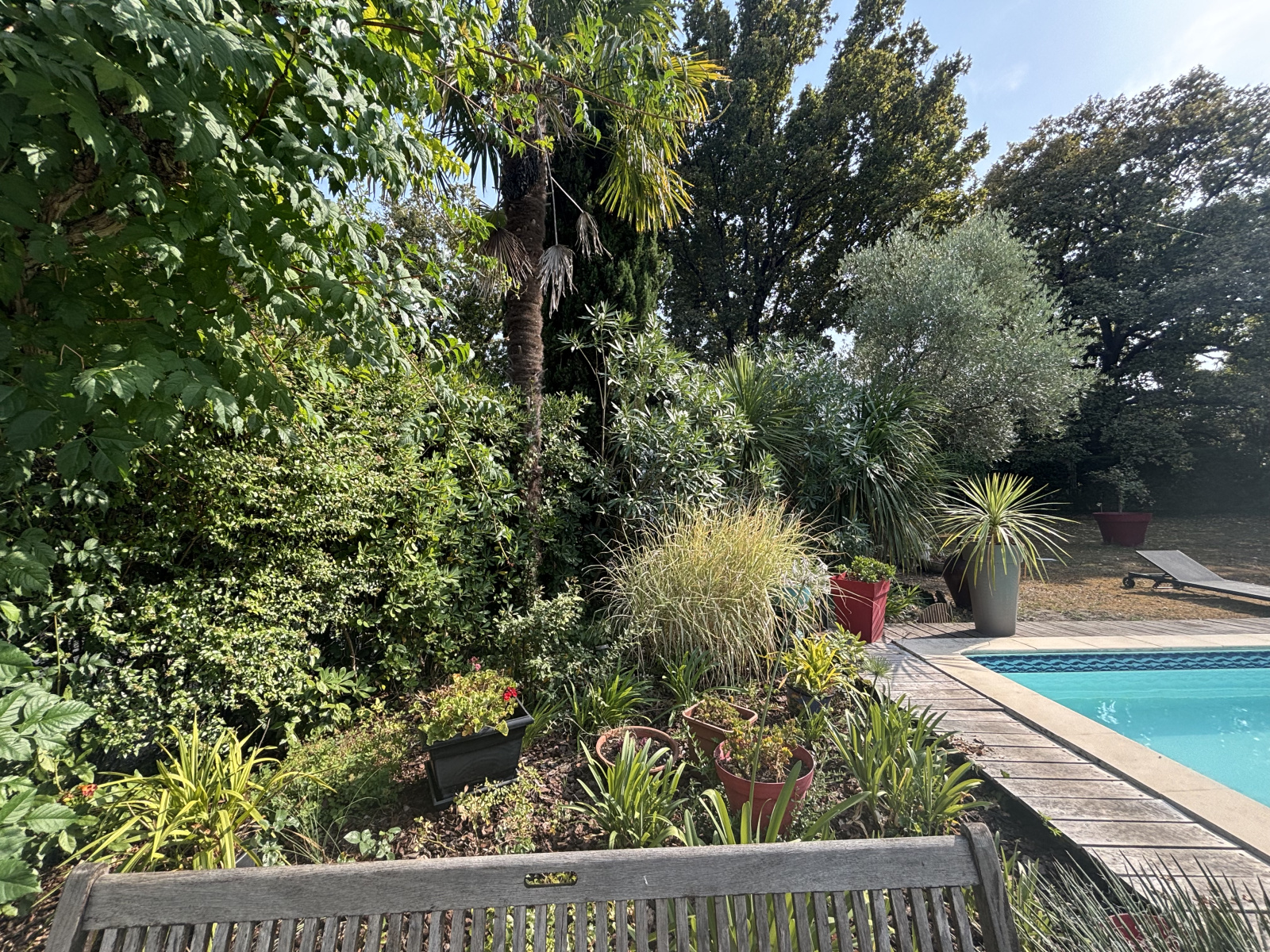 Image_, Maison, Carbon-Blanc, ref :704