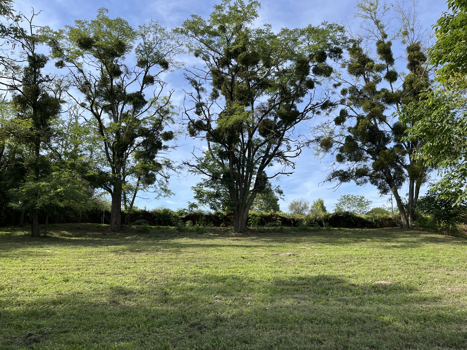 Image_, Maison, Bazas, ref :B367