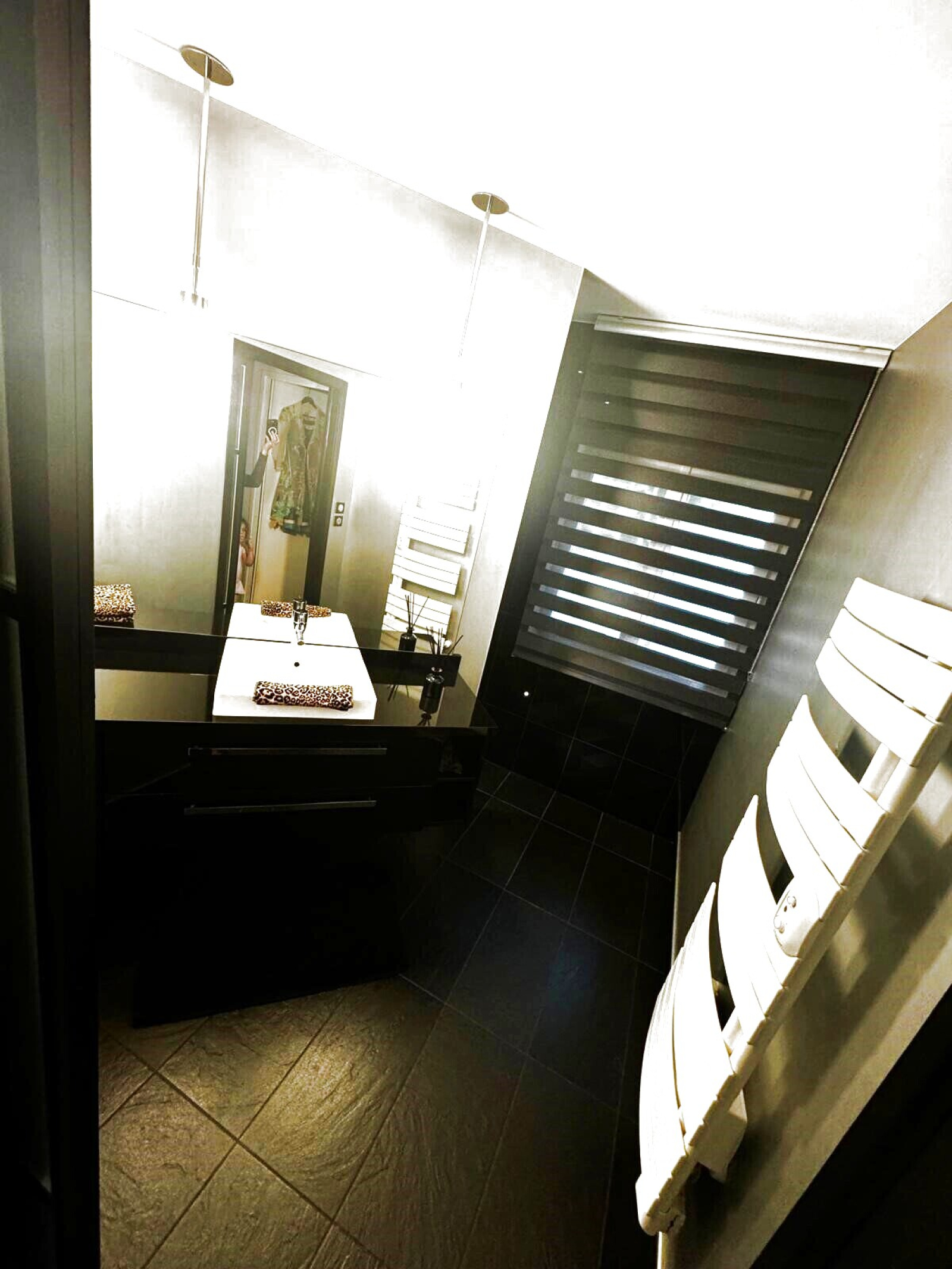 Image_, Maison, Castelginest, ref :X531