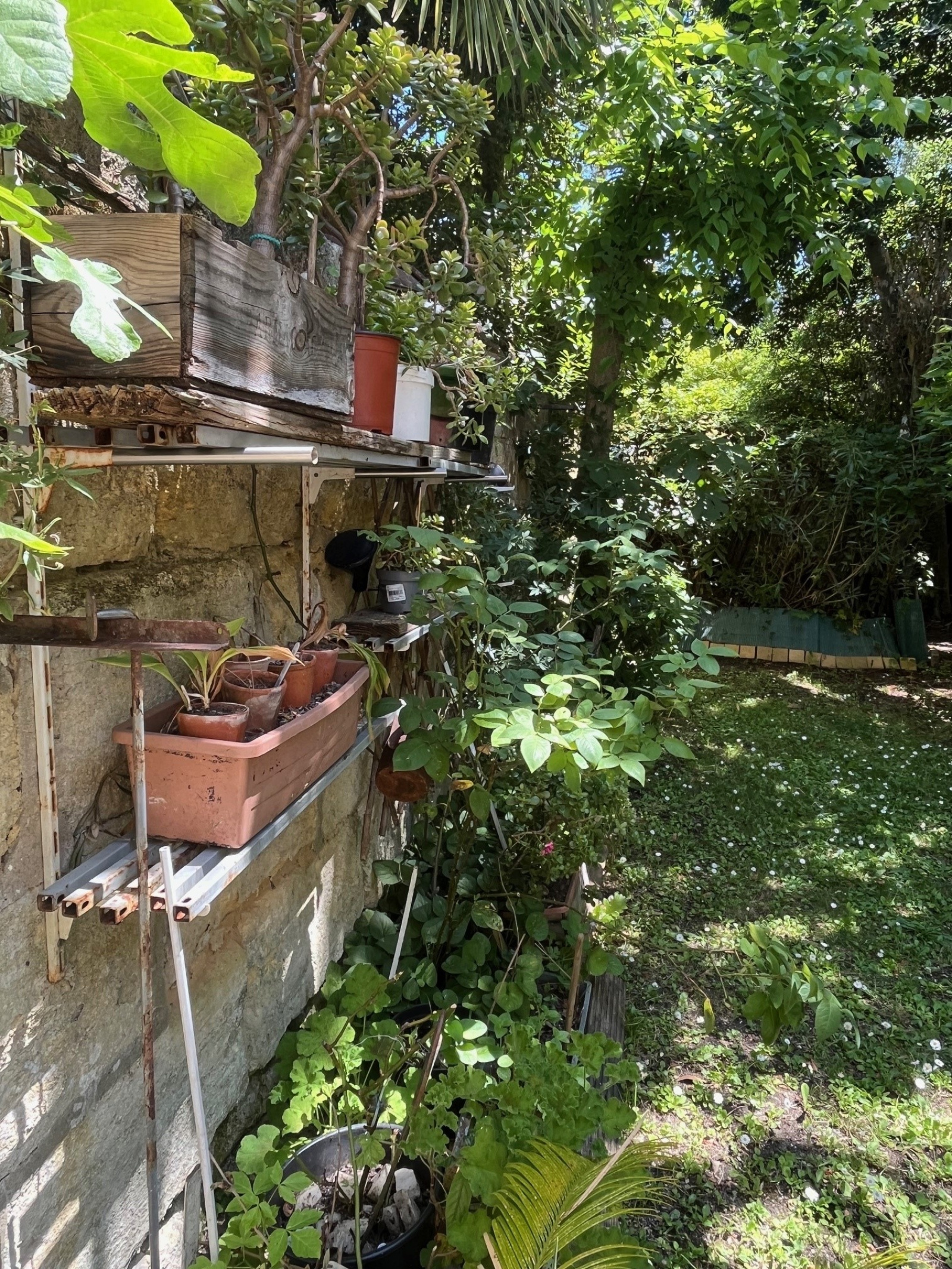 Image_, Appartement, Bordeaux, ref :E642