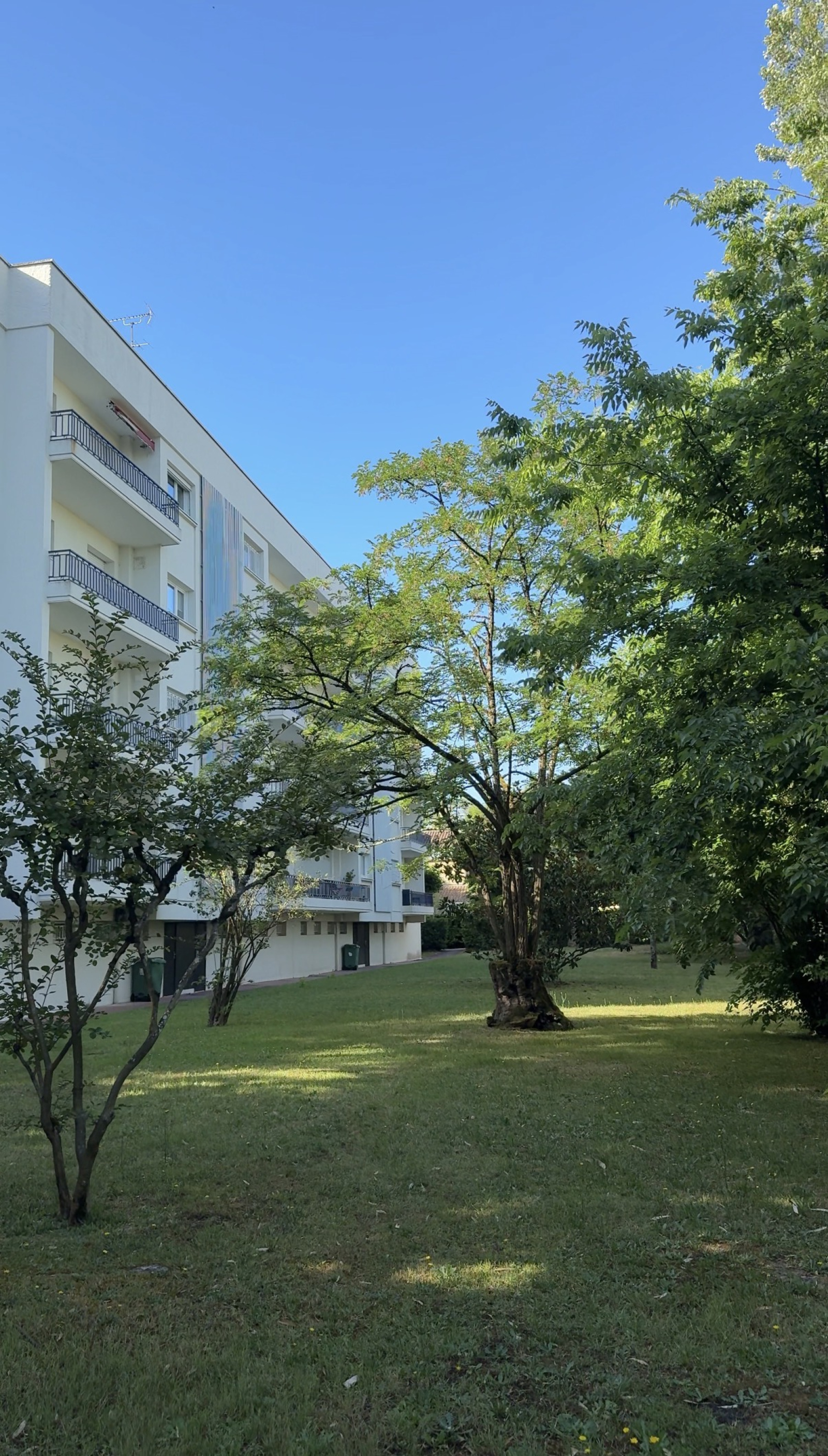 Image_, Appartement, Bordeaux, ref :FJVAP430017994