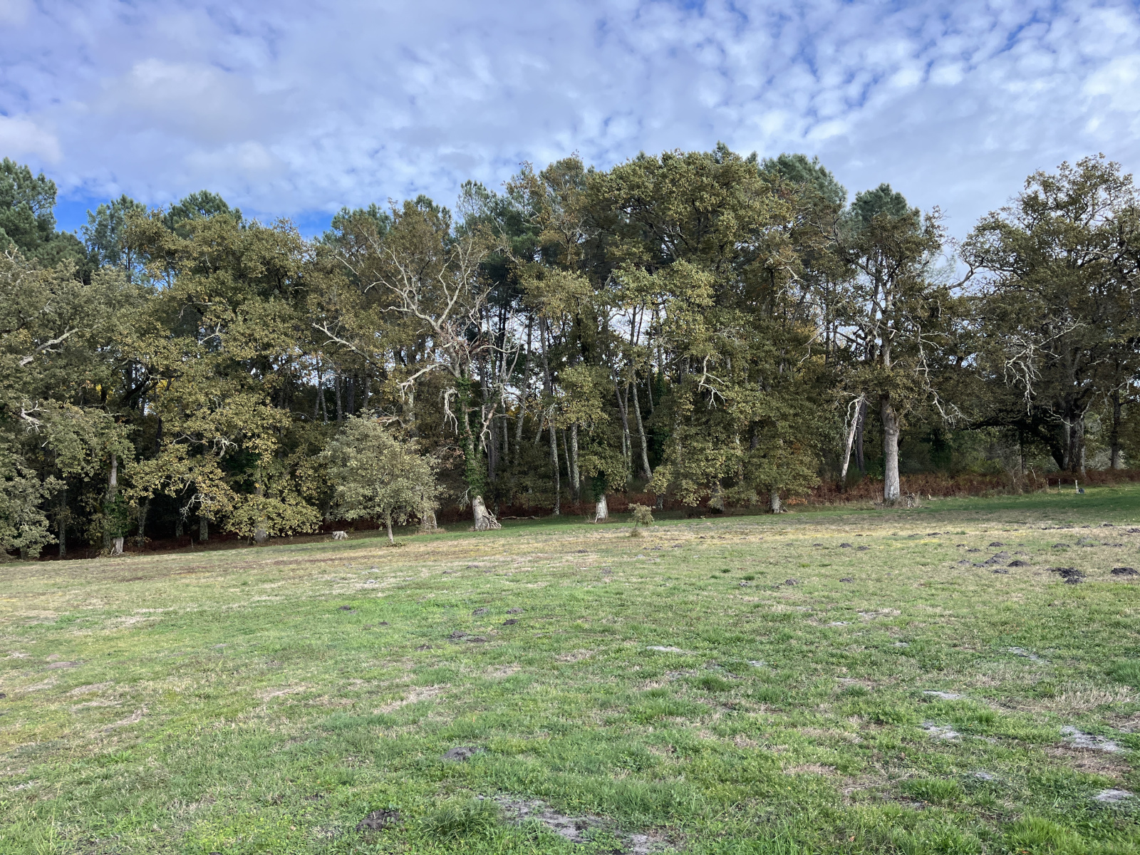 Image_, Propriete, Bazas, ref :B411