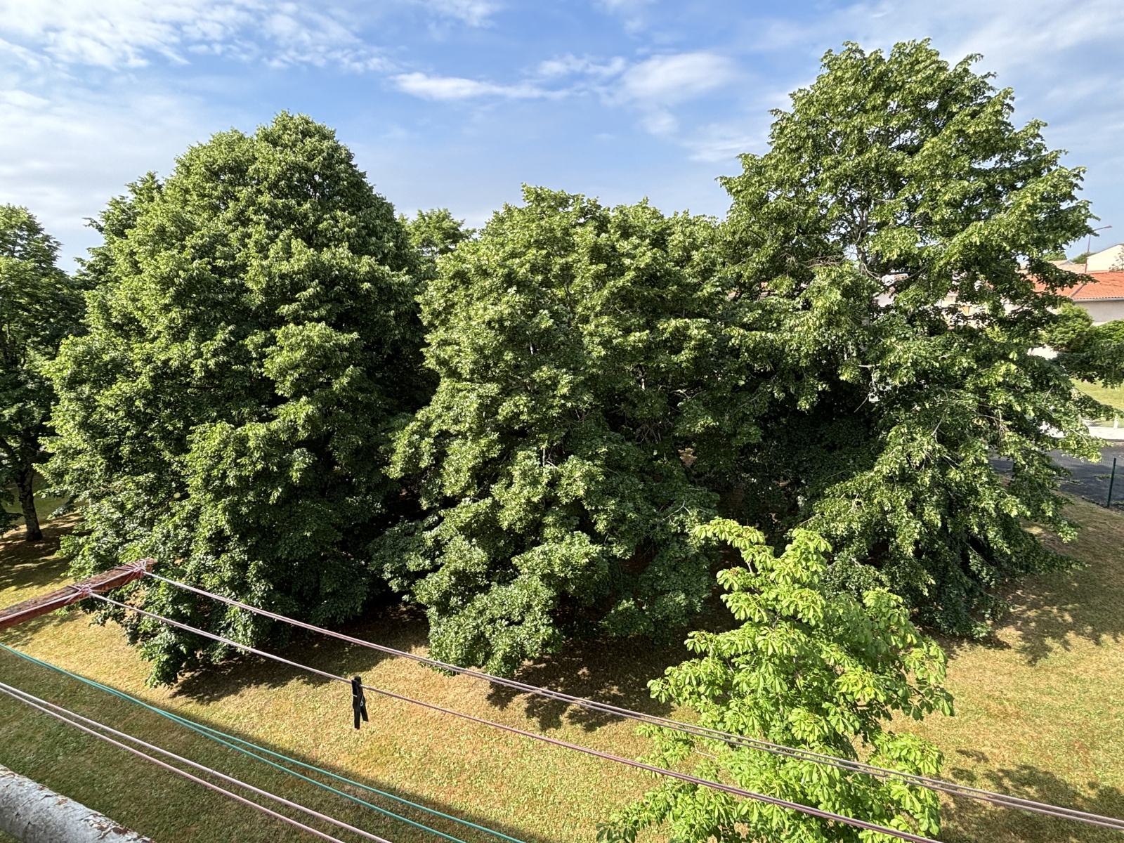 Image_, Appartement, Carbon-Blanc, ref :658