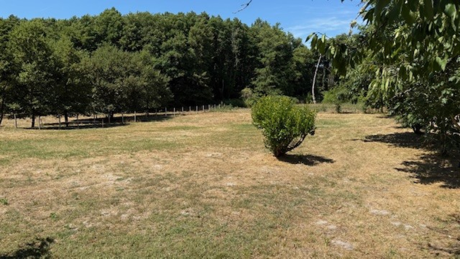 Image_, Maison, Bazas, ref :B285