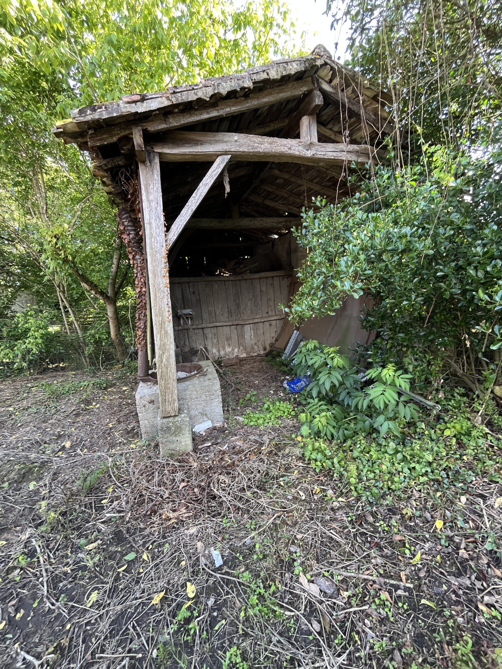 Image_, Maison, Auros, ref :B398