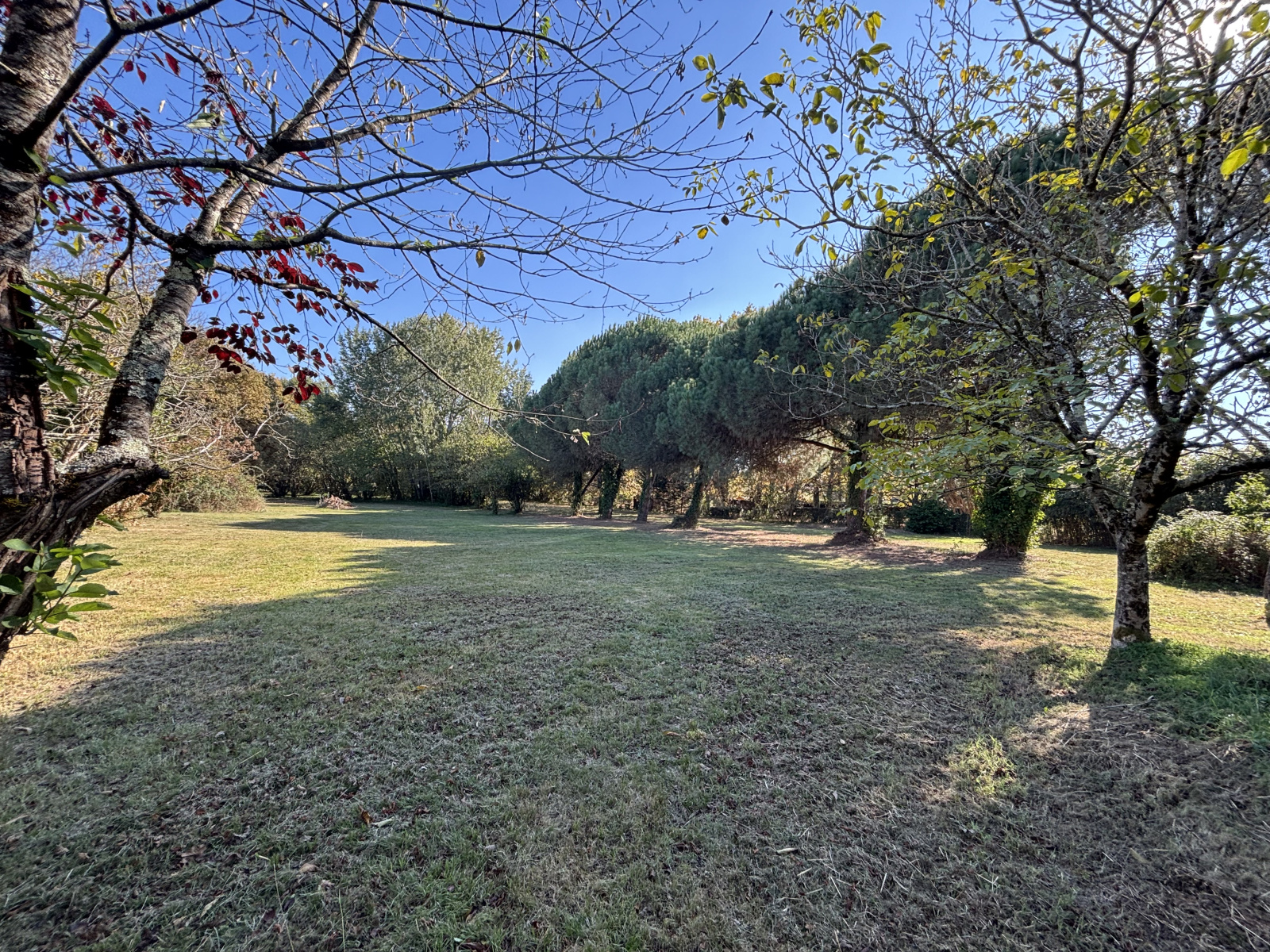 Image_, Maison, Saint-Loubès, ref :756