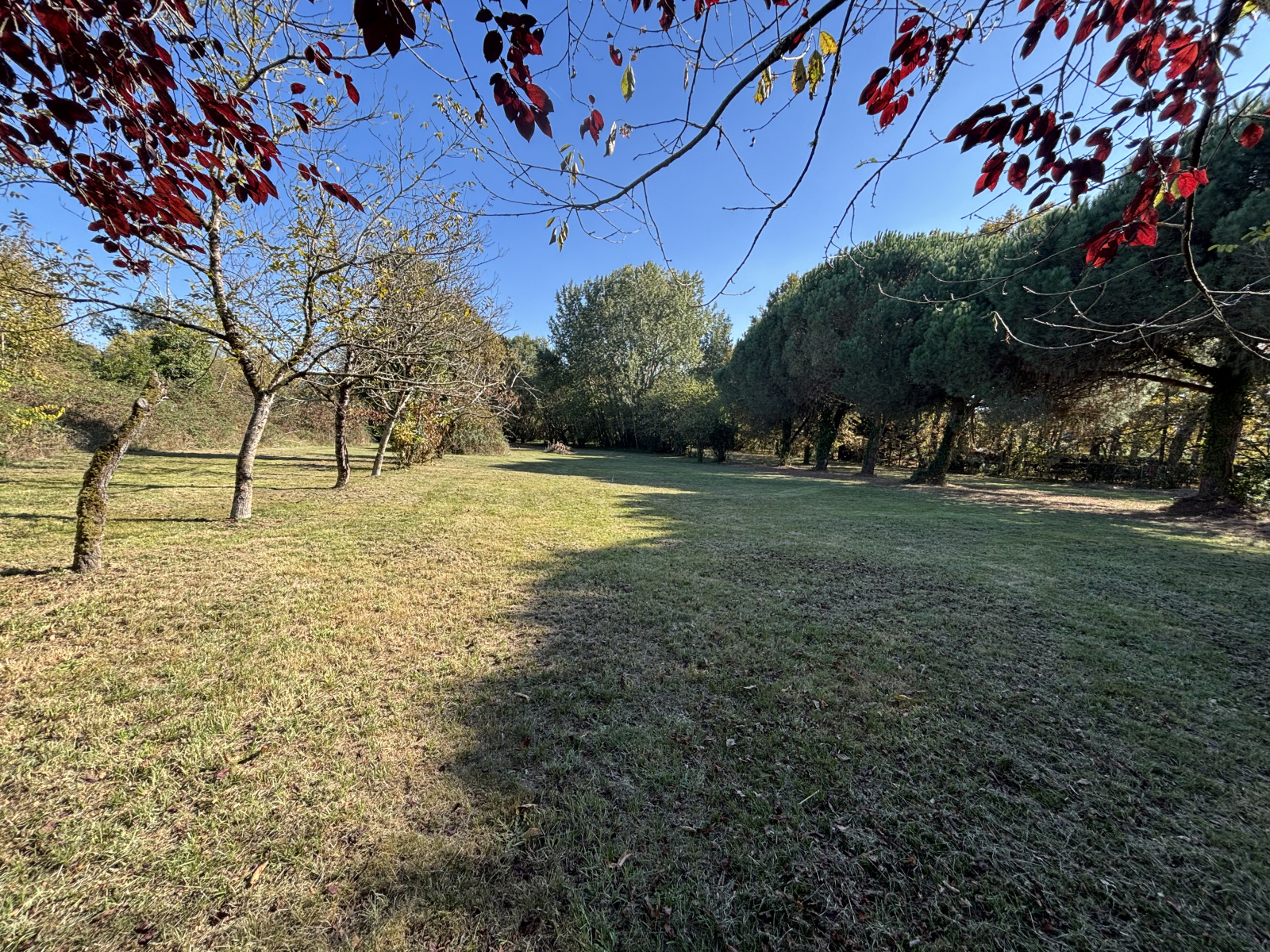 Image_, Maison, Saint-Loubès, ref :756