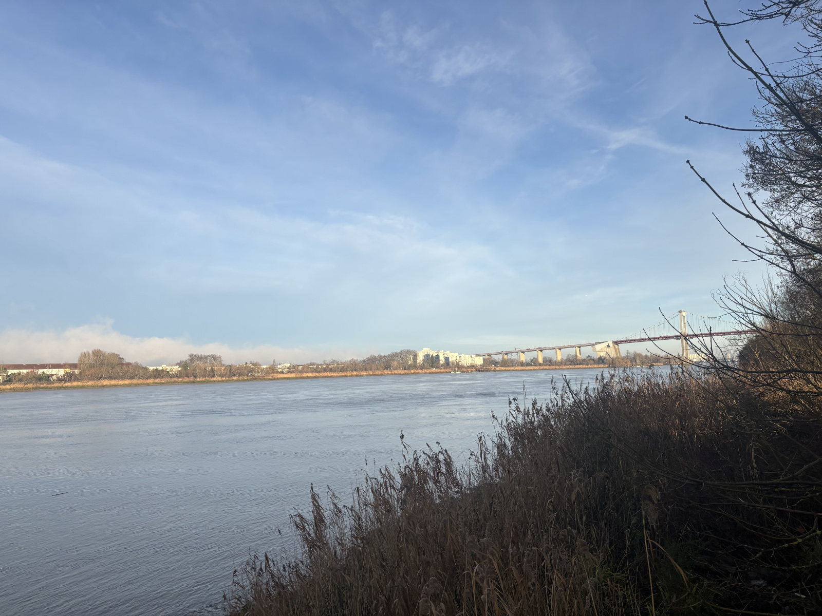 Image_, Maison, Bordeaux, ref :770