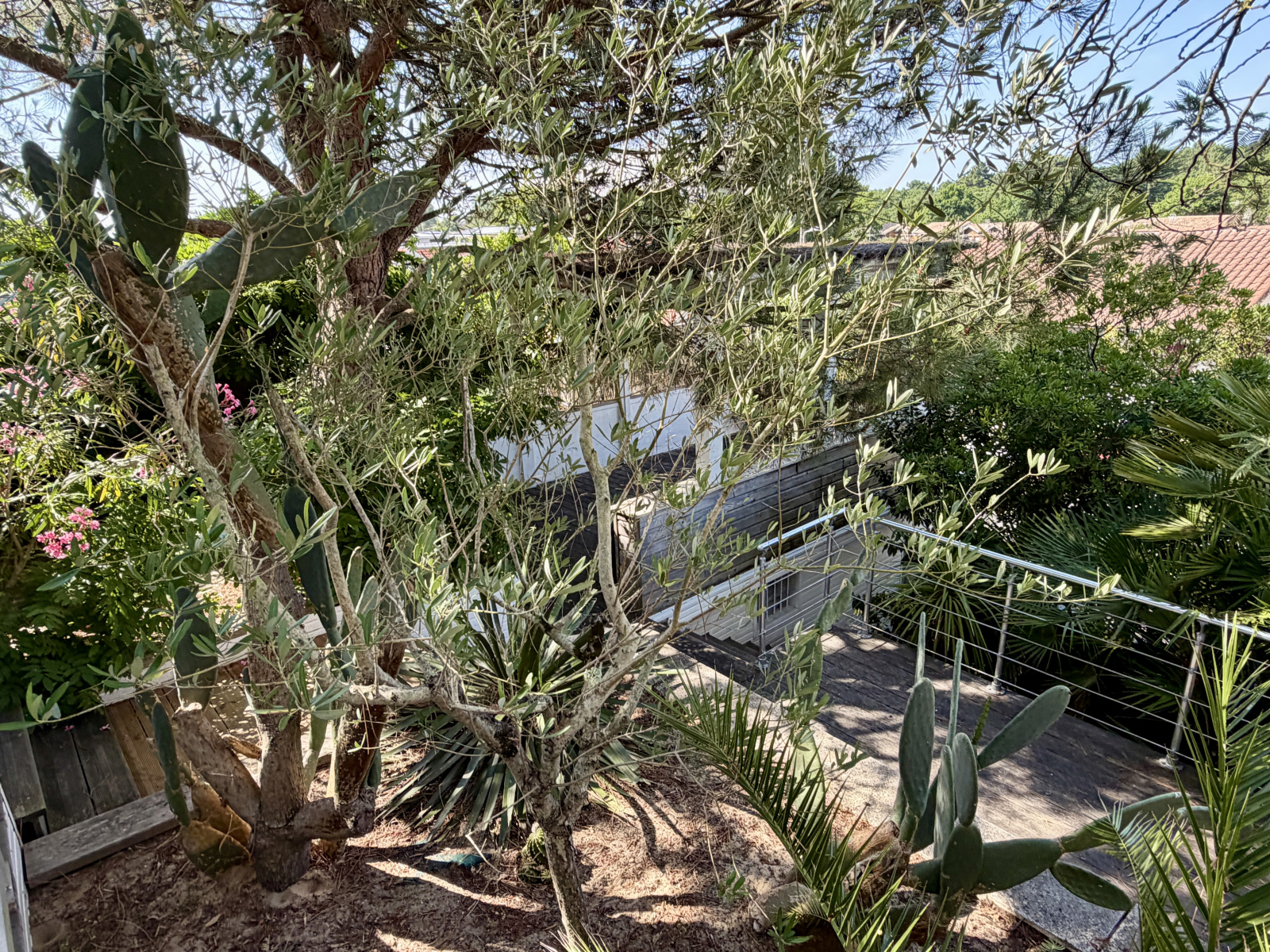 Image_, Maison, Arcachon, ref :PBVMA440018001
