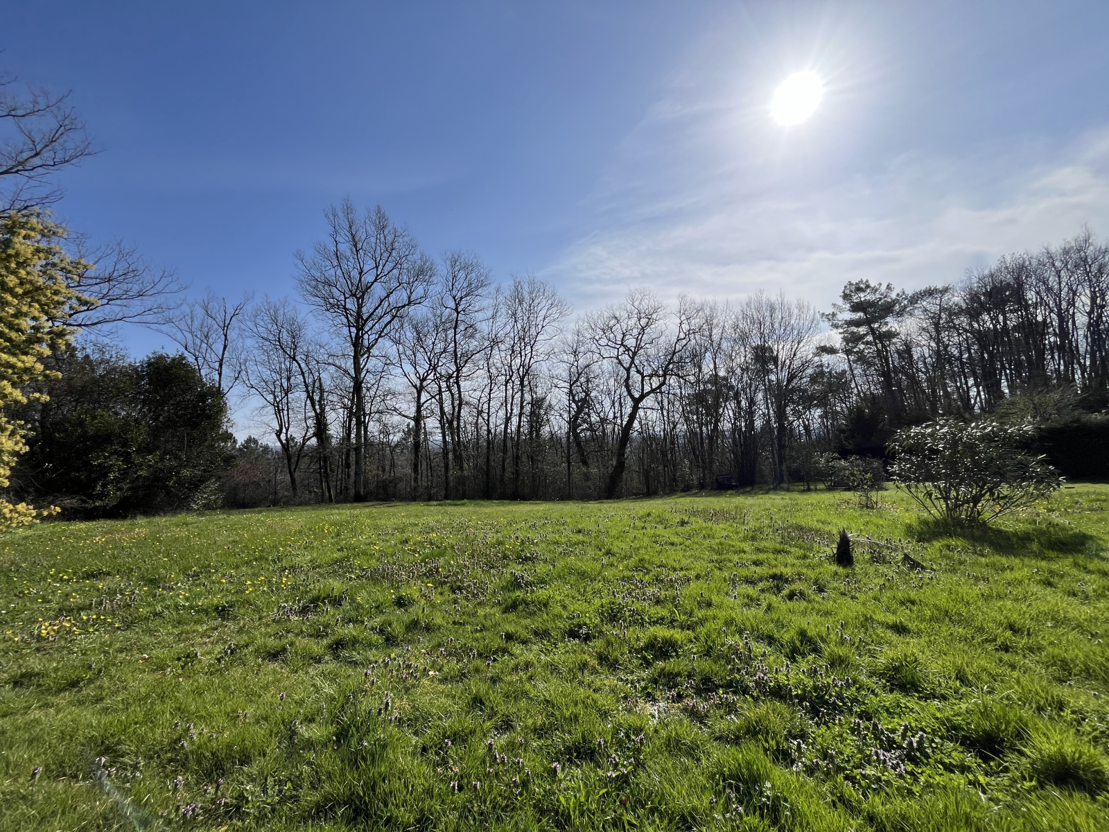 Image_, Maison, Lagorce, ref :792