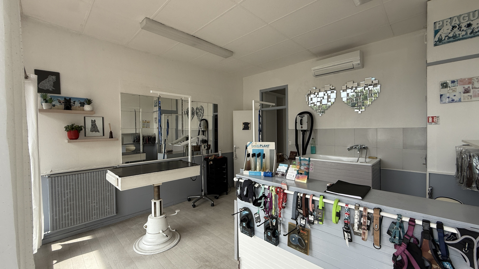 Image_, Local commercial, Mérignac, ref :752