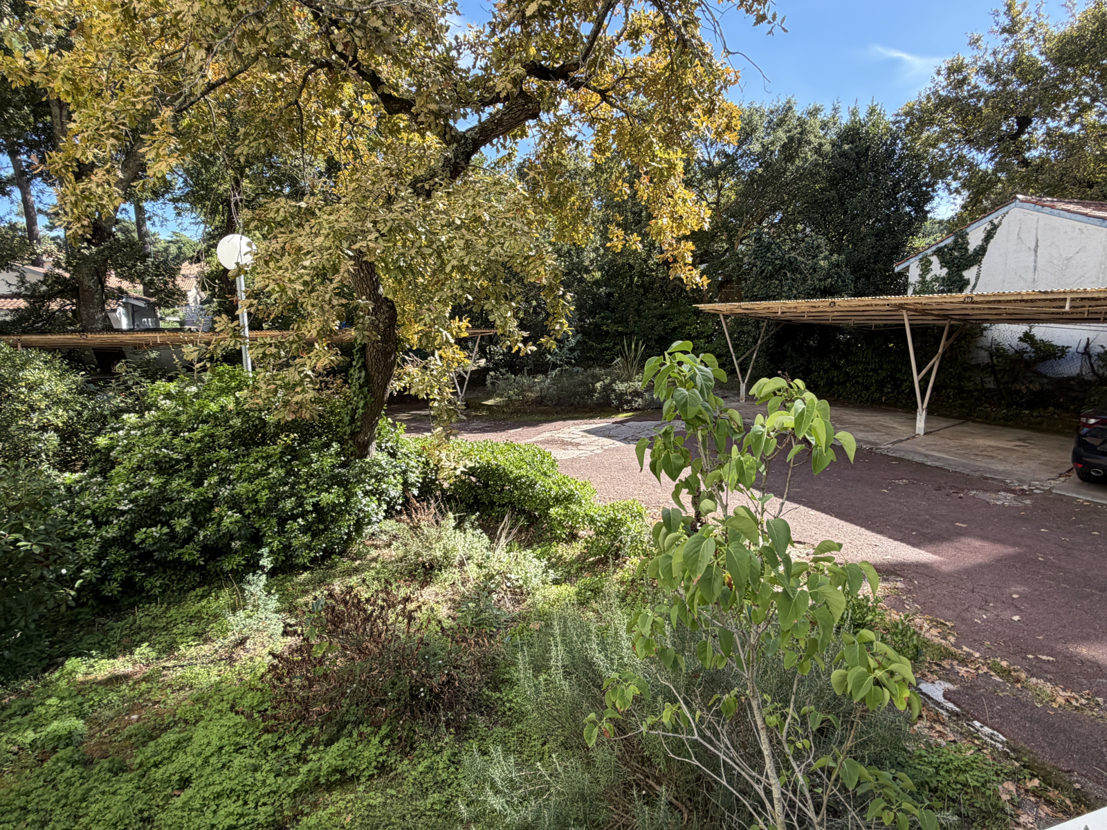 Image_, Appartement, Arcachon, ref :PBVAP440017729