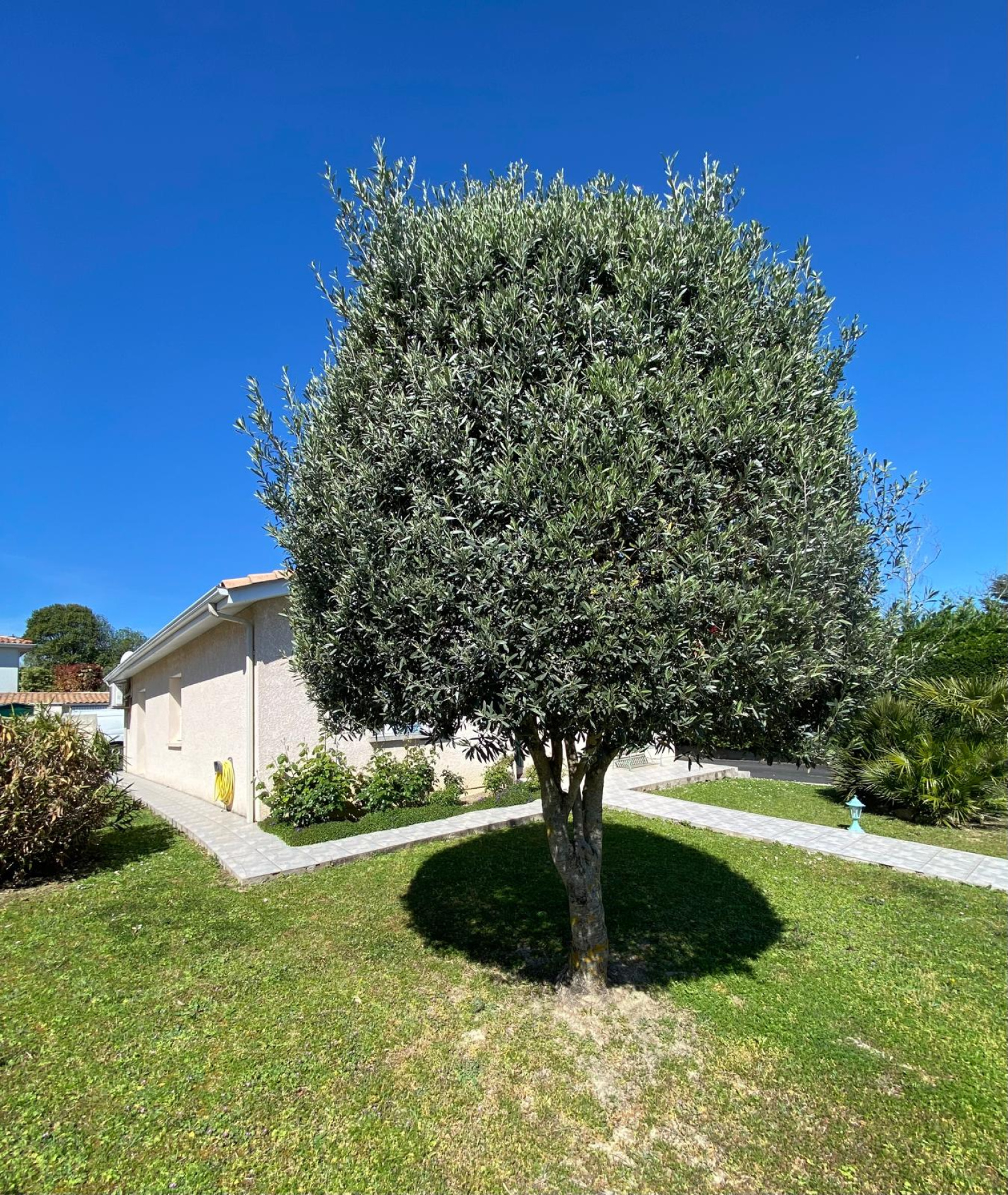 Image_, Maison, Carbon-Blanc, ref :823