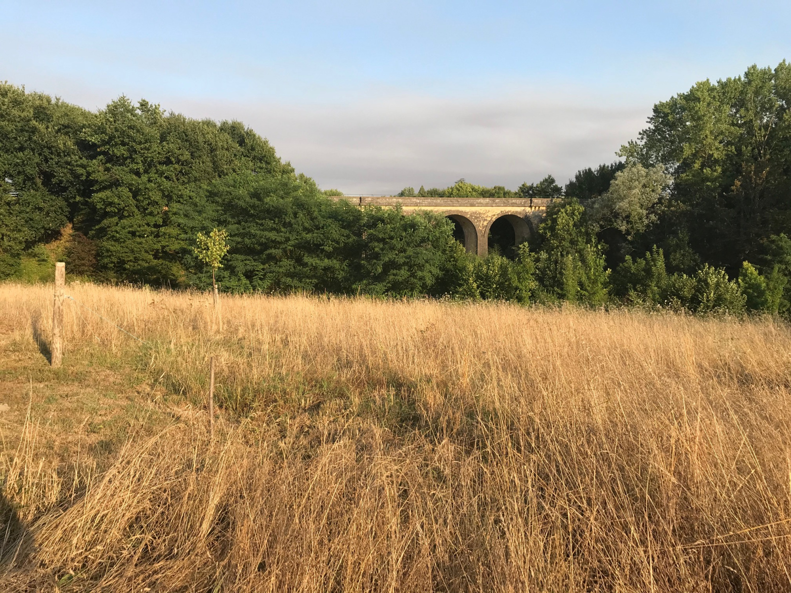 Image_, Terrain, Bazas, ref :Z5