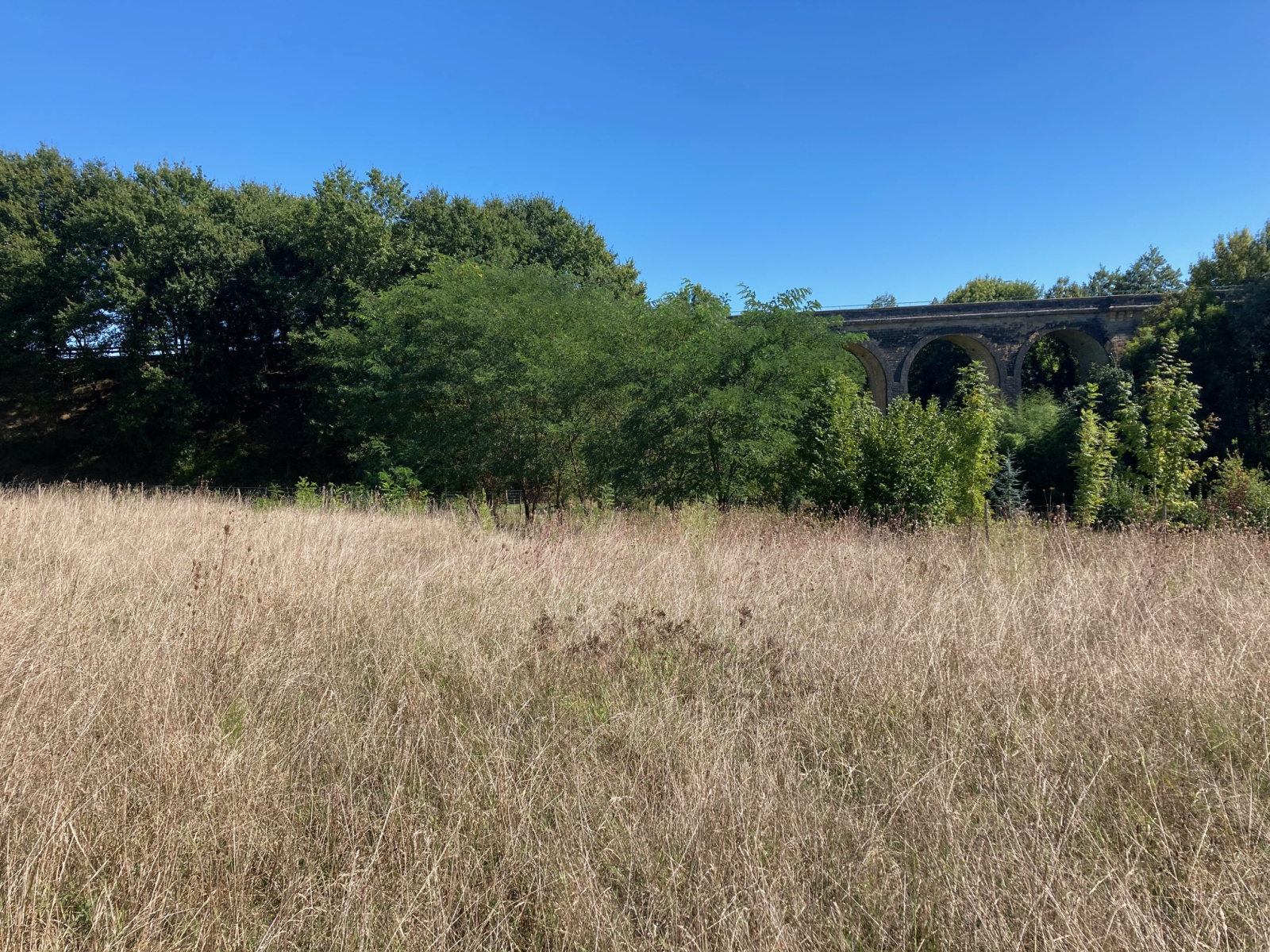 Image_, Terrain, Bazas, ref :Z5