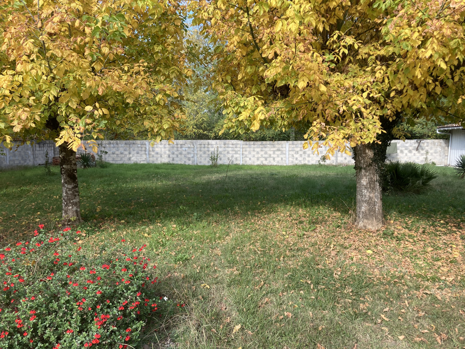 Image_, Maison, Bazas, ref :S52