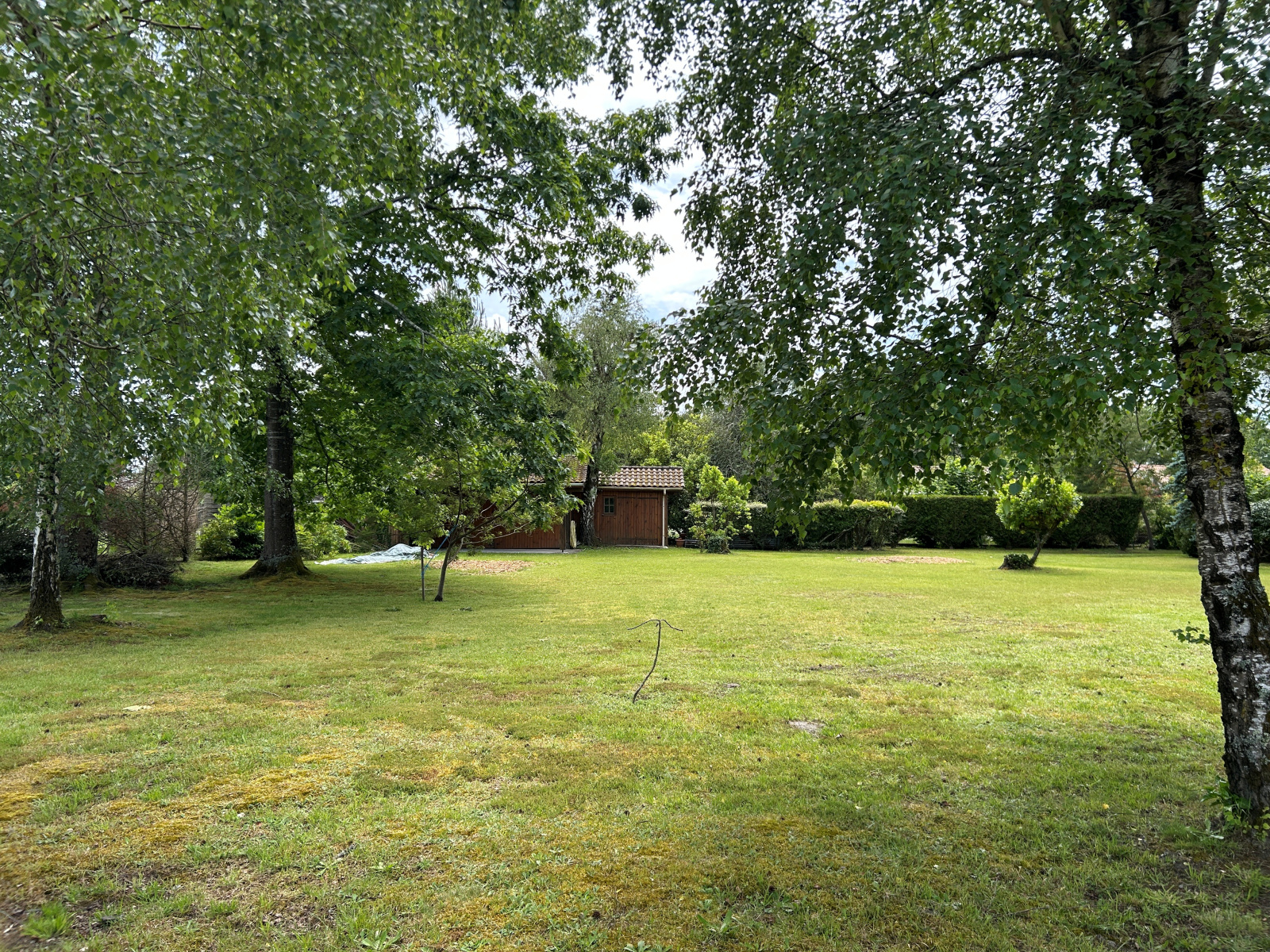 Image_, Terrain, Bazas, ref :467