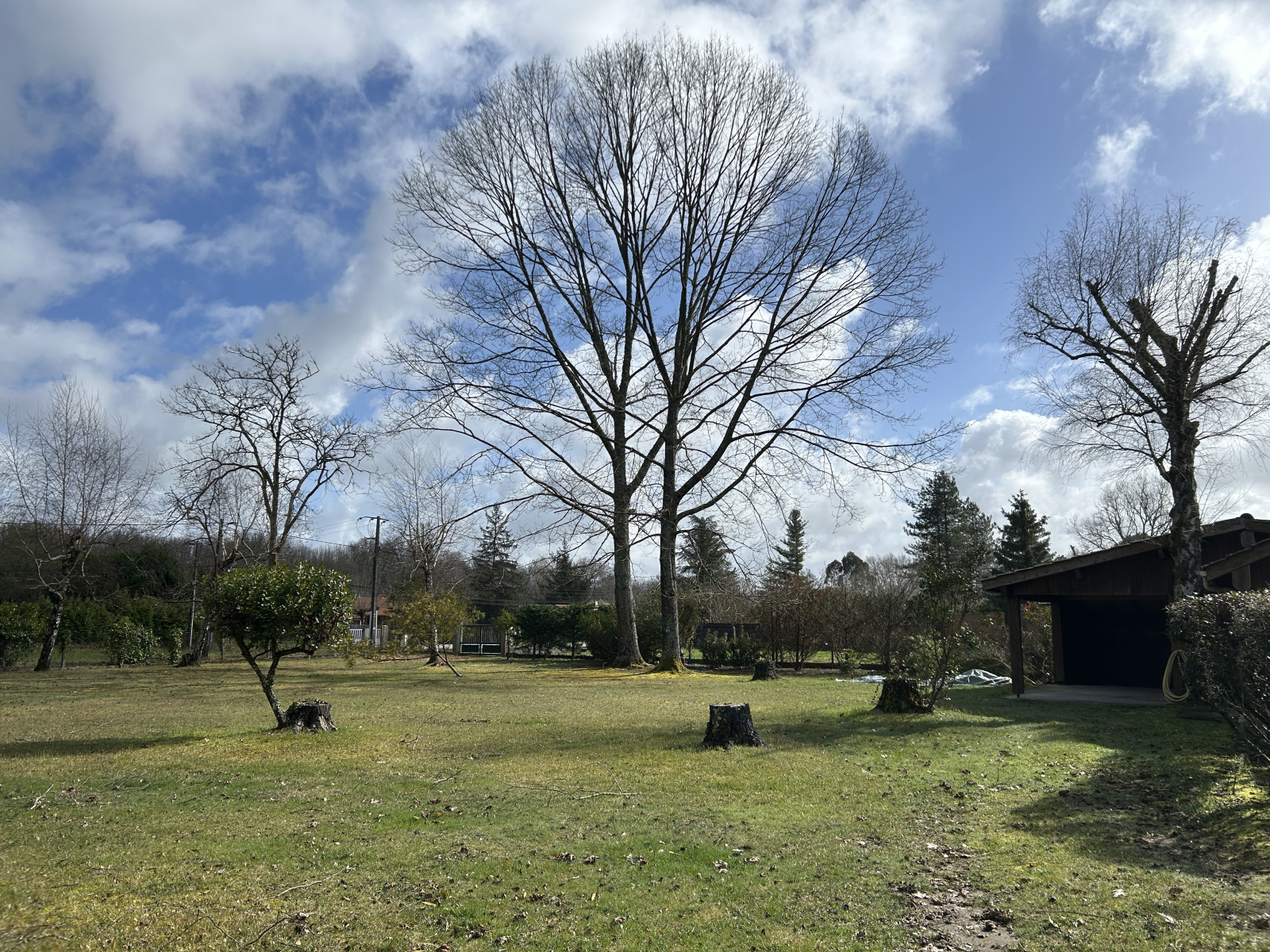 Image_, Terrain, Bazas, ref :467