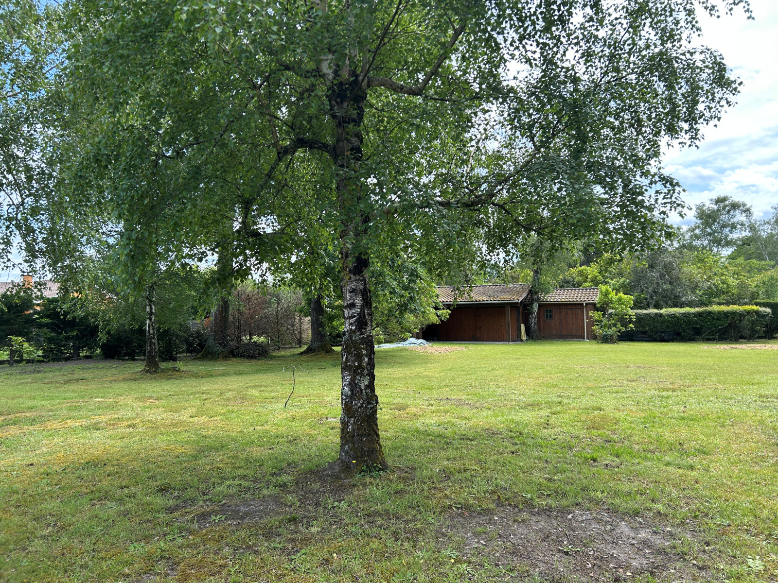 Image_, Terrain, Bazas, ref :467