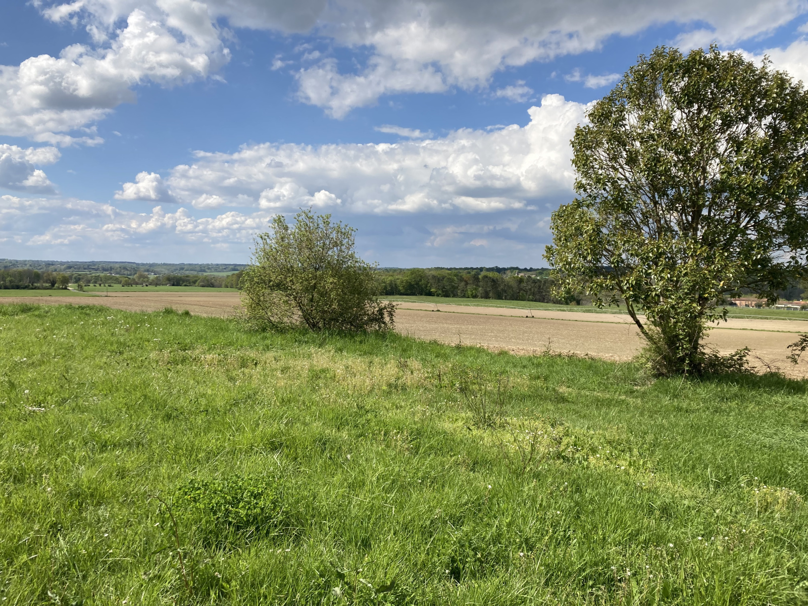 Image_, Maison, Birac, ref :428