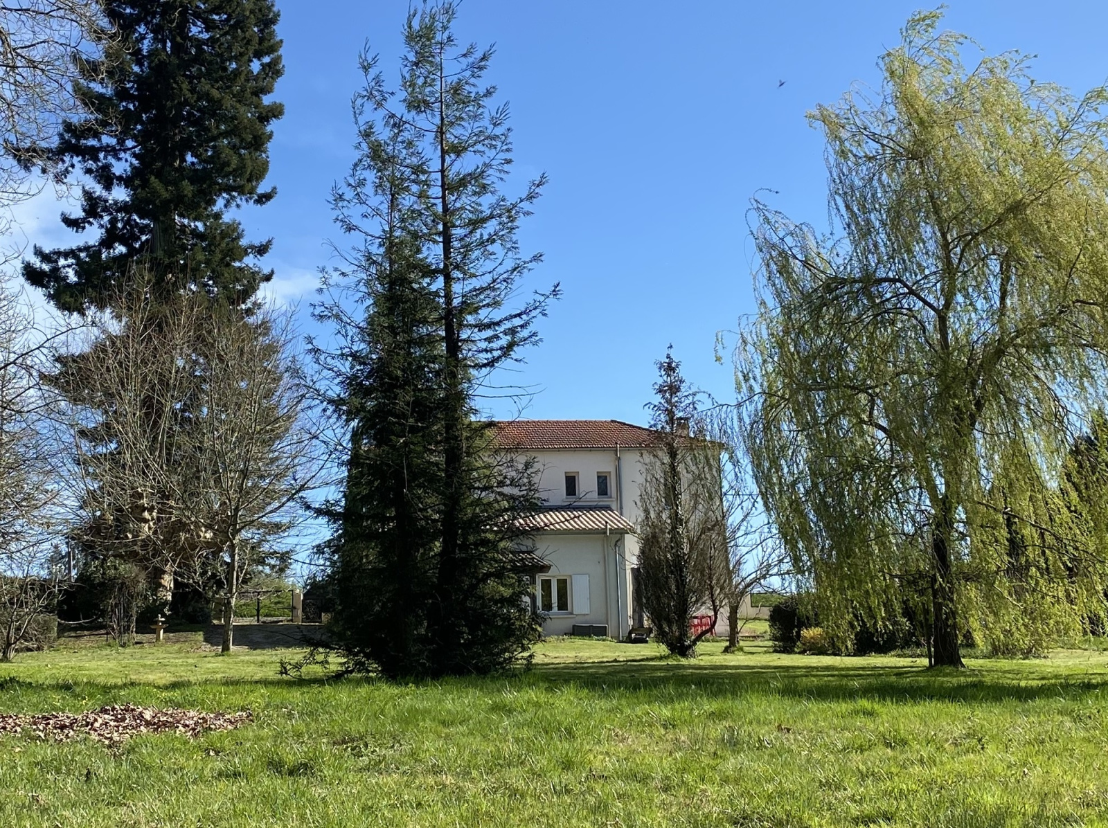 Image_, Maison, Bazas, ref :331