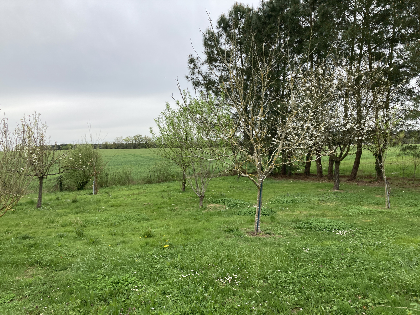 Image_, Maison, Savignac, ref :326