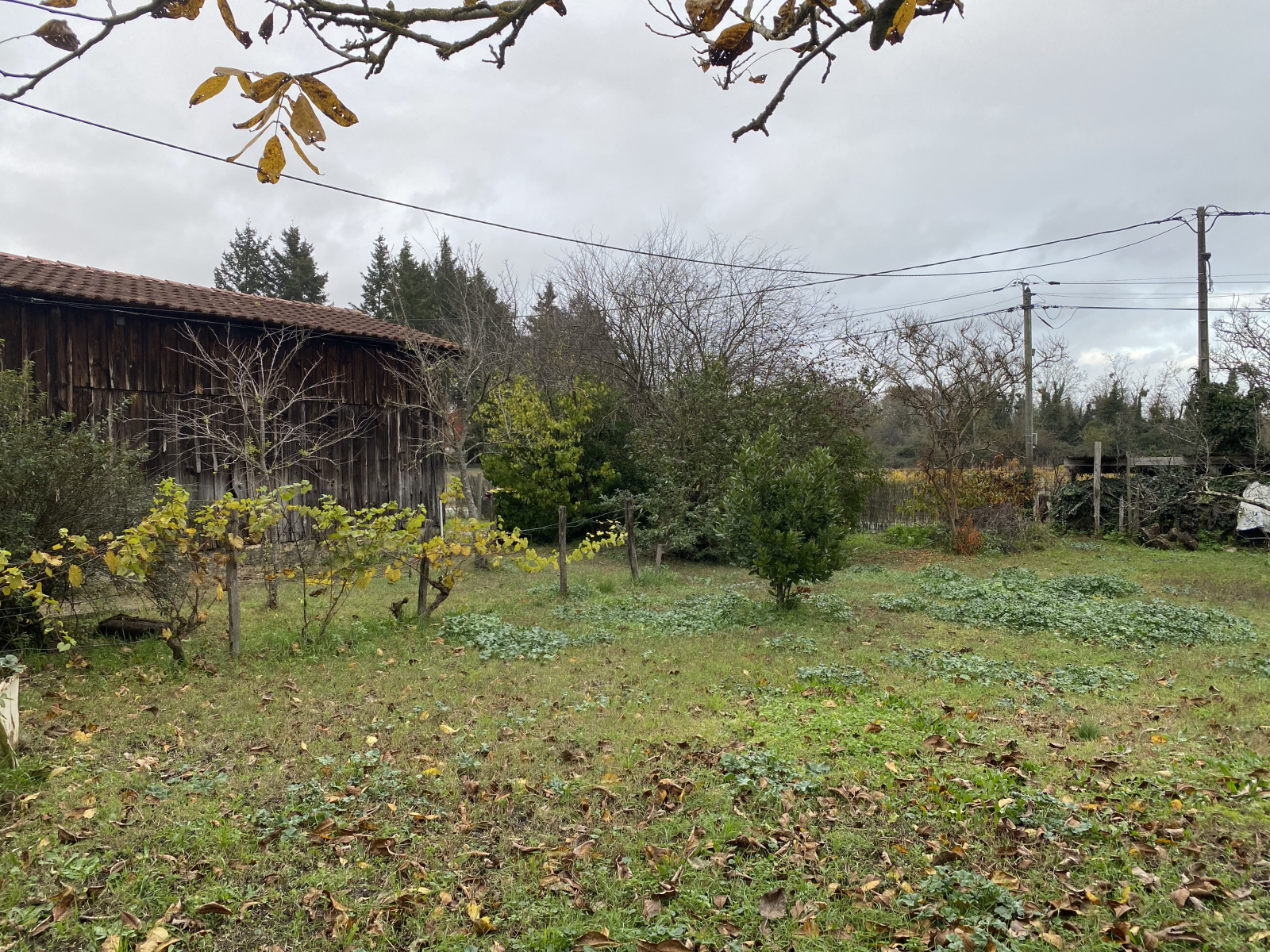 Image_, Maison, Langon, ref :204