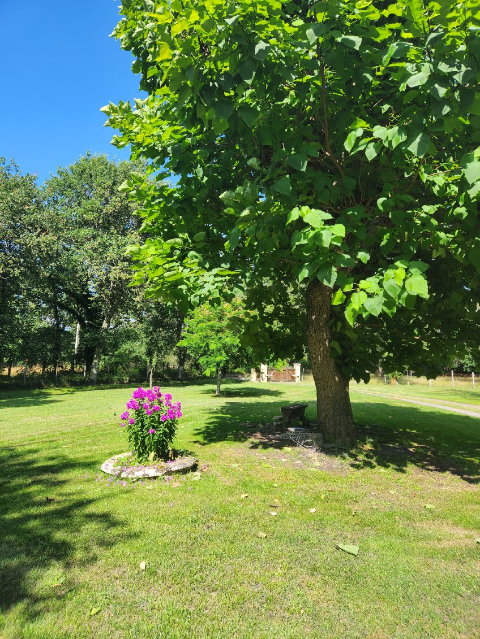 Image_, Maison, Préchac, ref :199