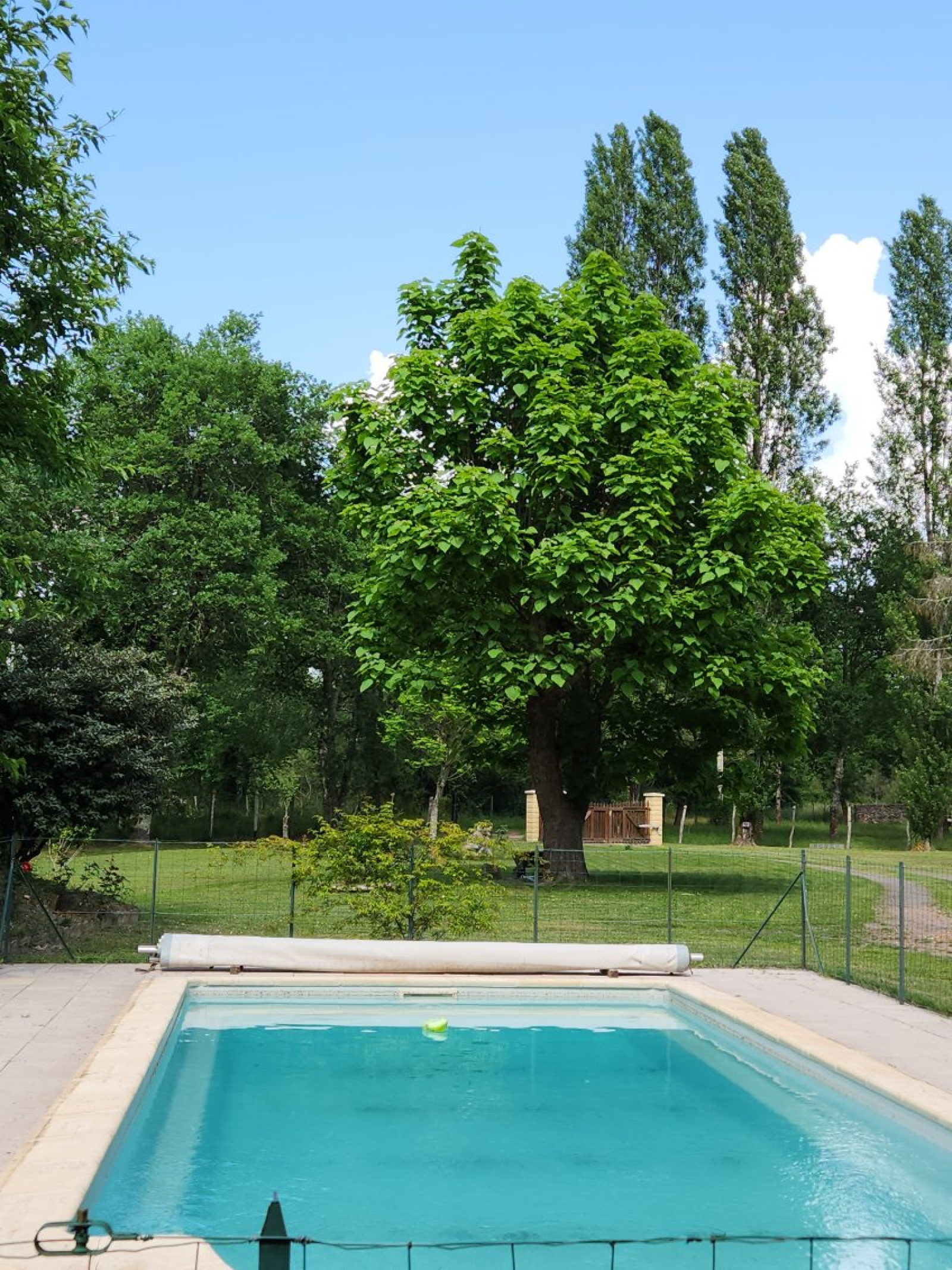 Image_, Maison, Préchac, ref :199