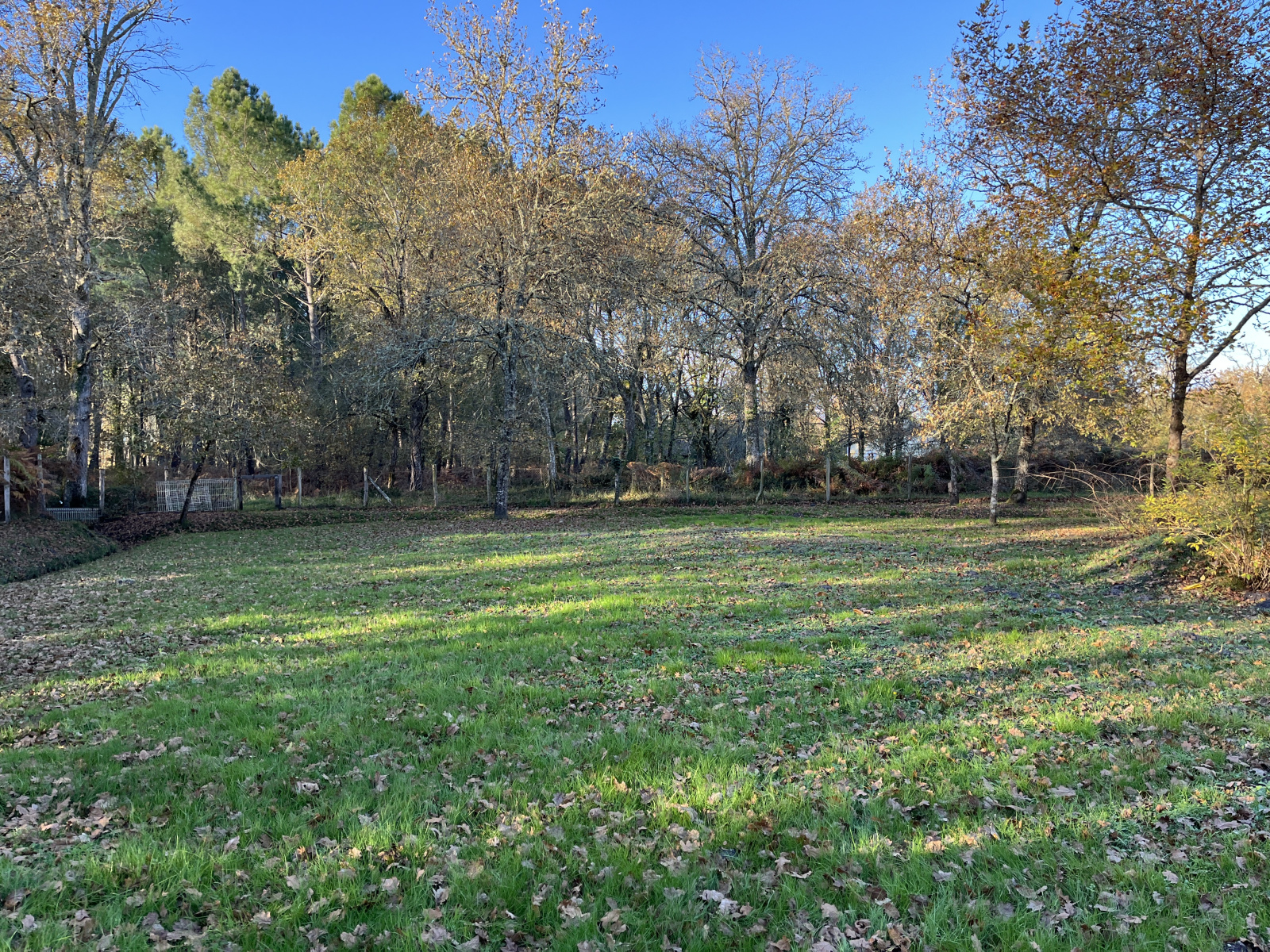 Image_, Maison, Préchac, ref :199