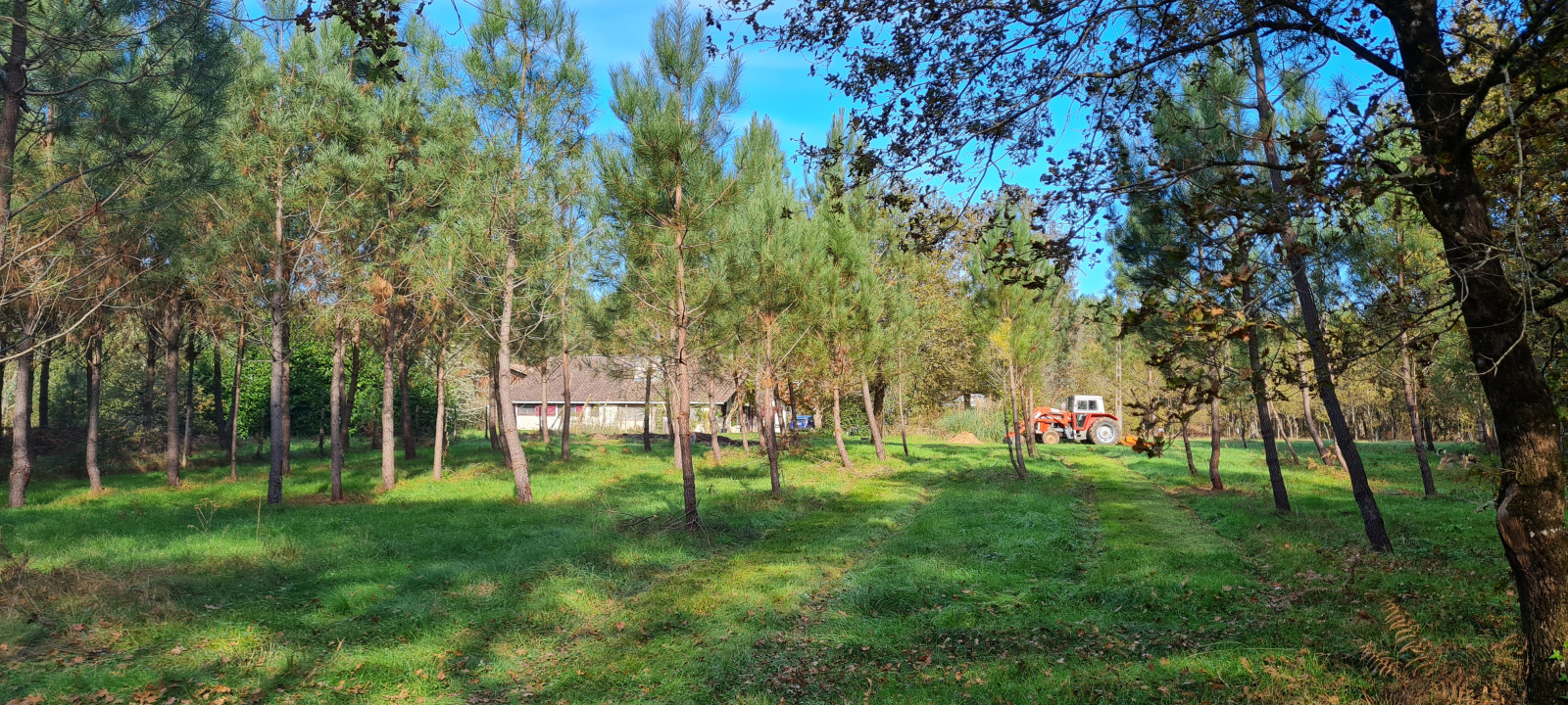 Image_, Maison, Bazas, ref :389