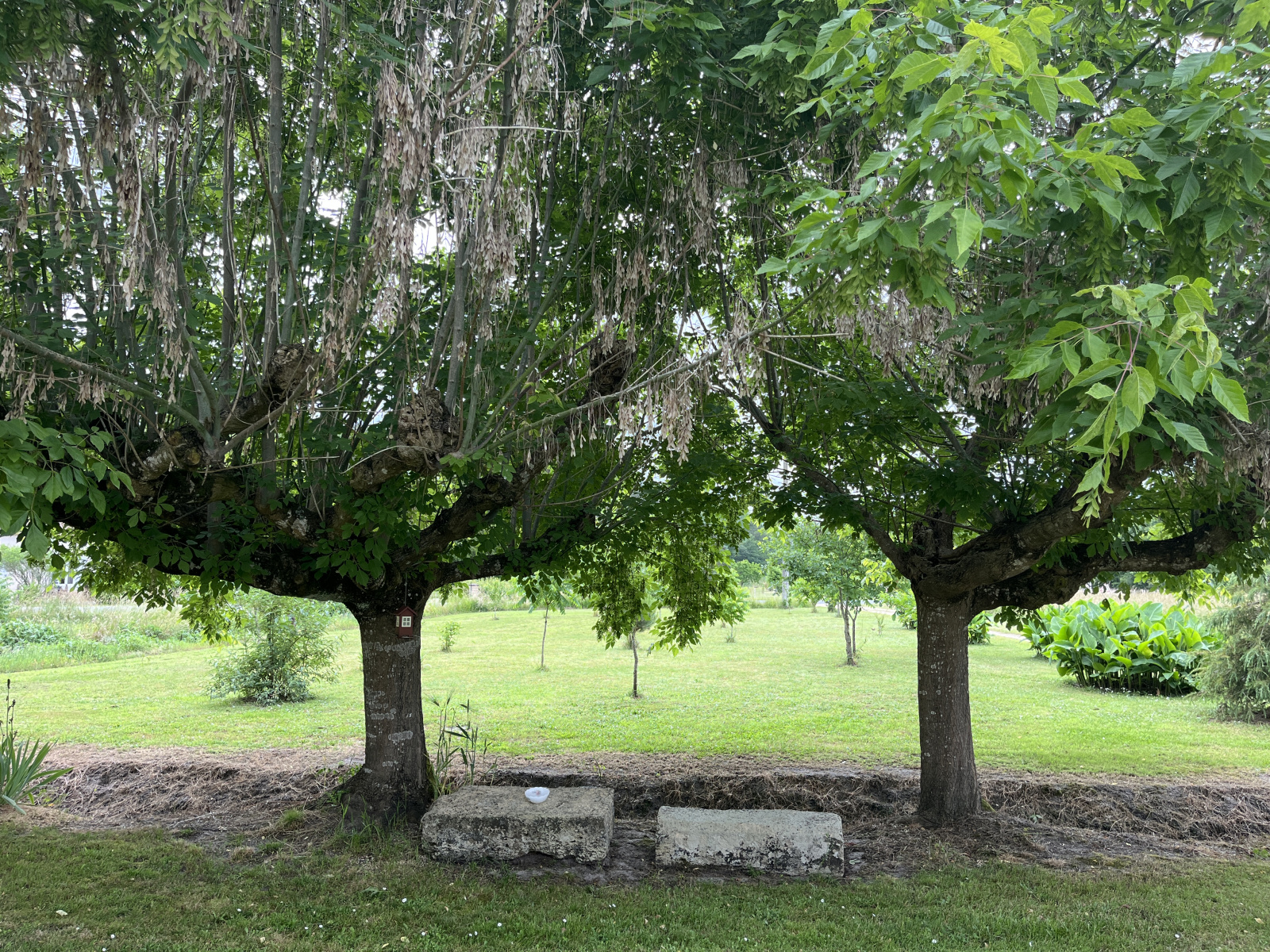 Image_, Maison, Lerm-et-Musset, ref :366