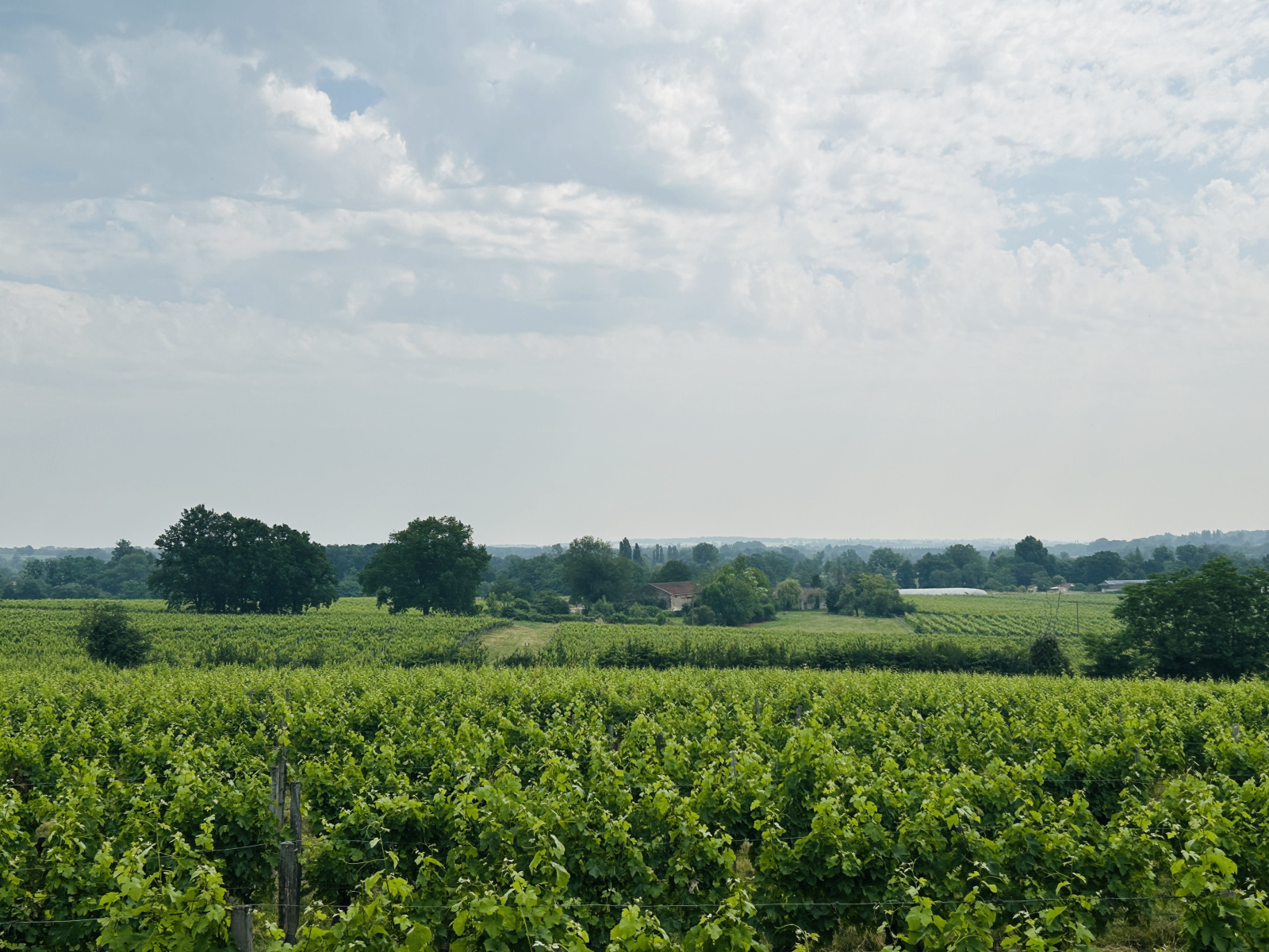 Image_, Ferme, Sauveterre-de-Guyenne, ref :363